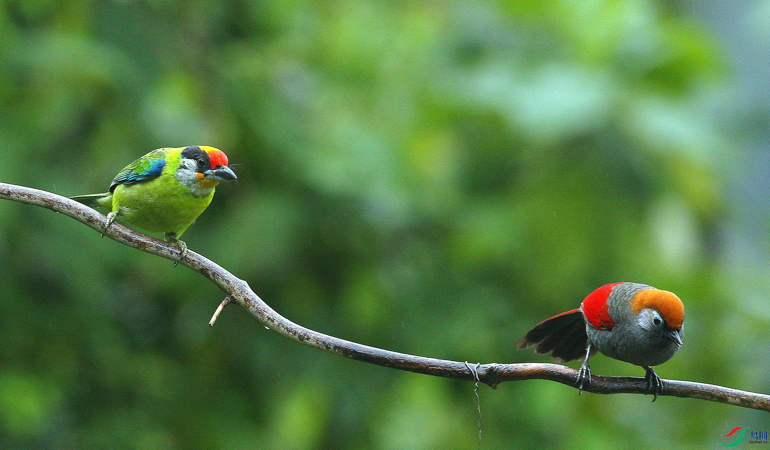 ���� 005.jpg