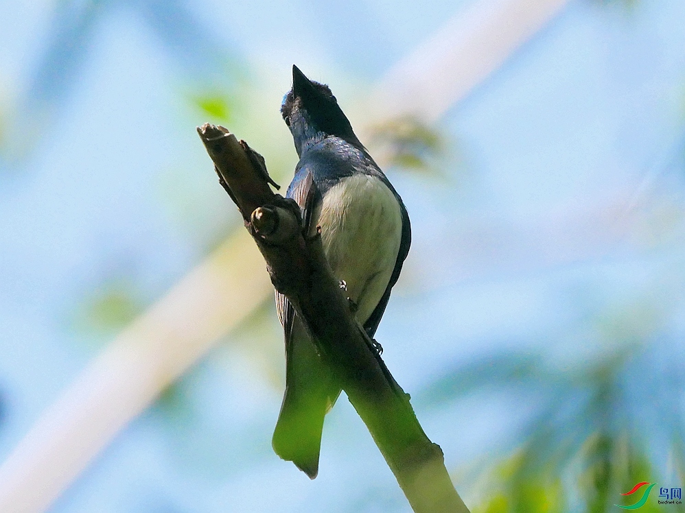 P9530131 - ����.JPG