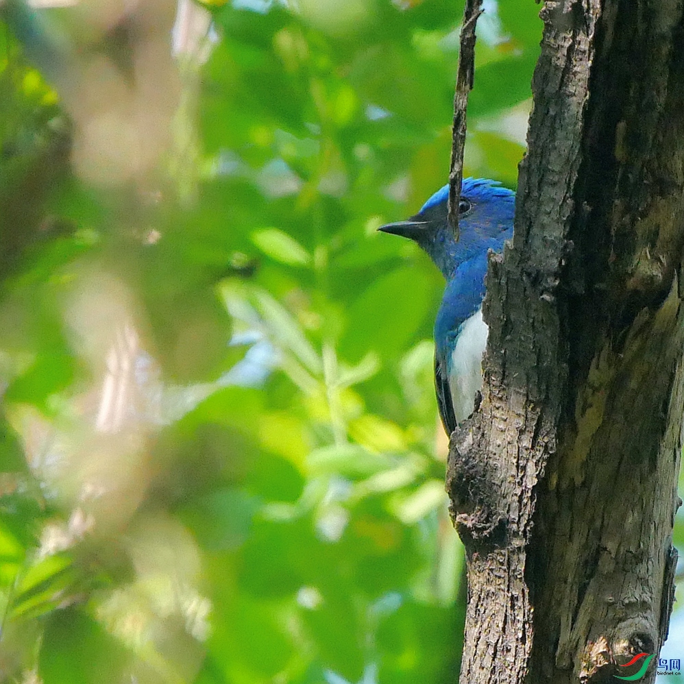 P9530102 - ����.JPG