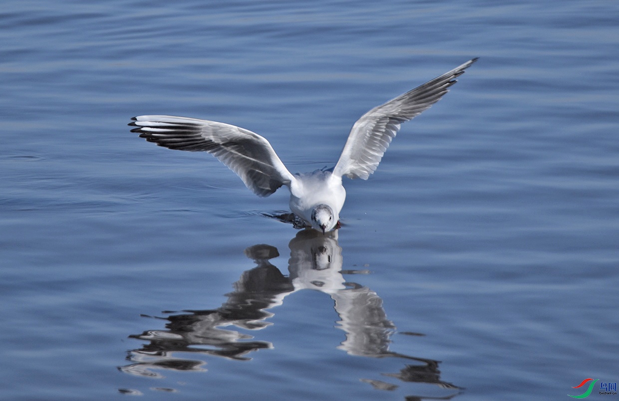 DSC_9424.jpg