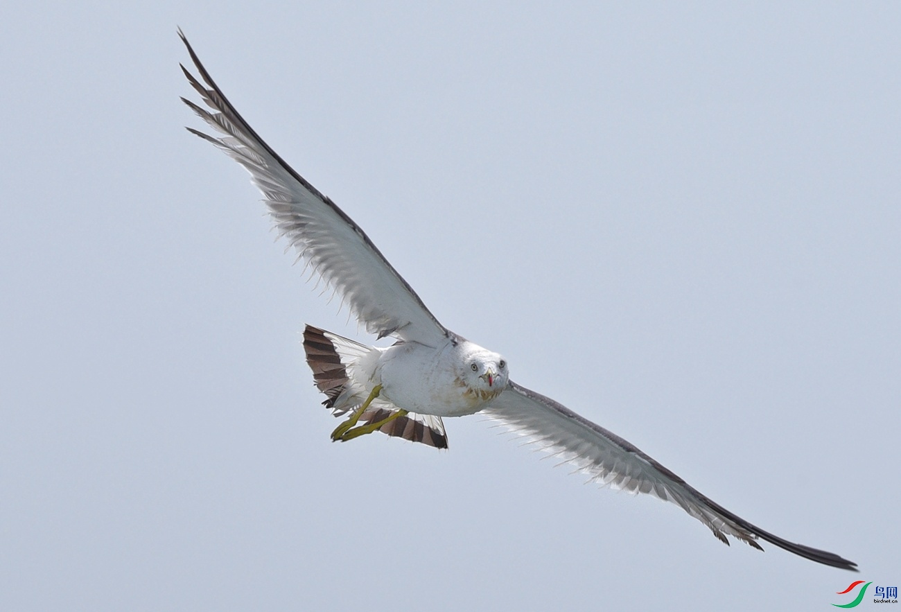 DSC_6341.jpg