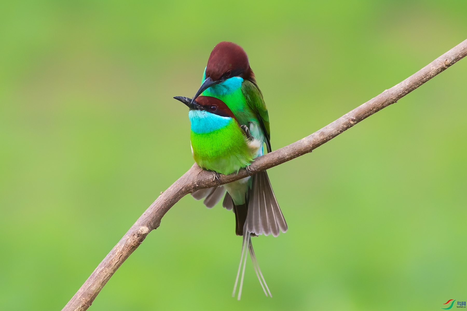 ��_G2A8803541.jpg