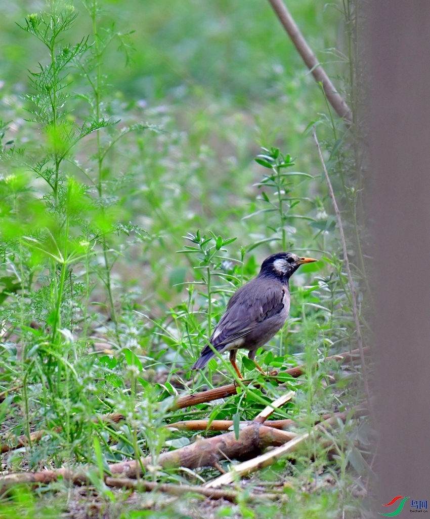 DSC_3369.jpg