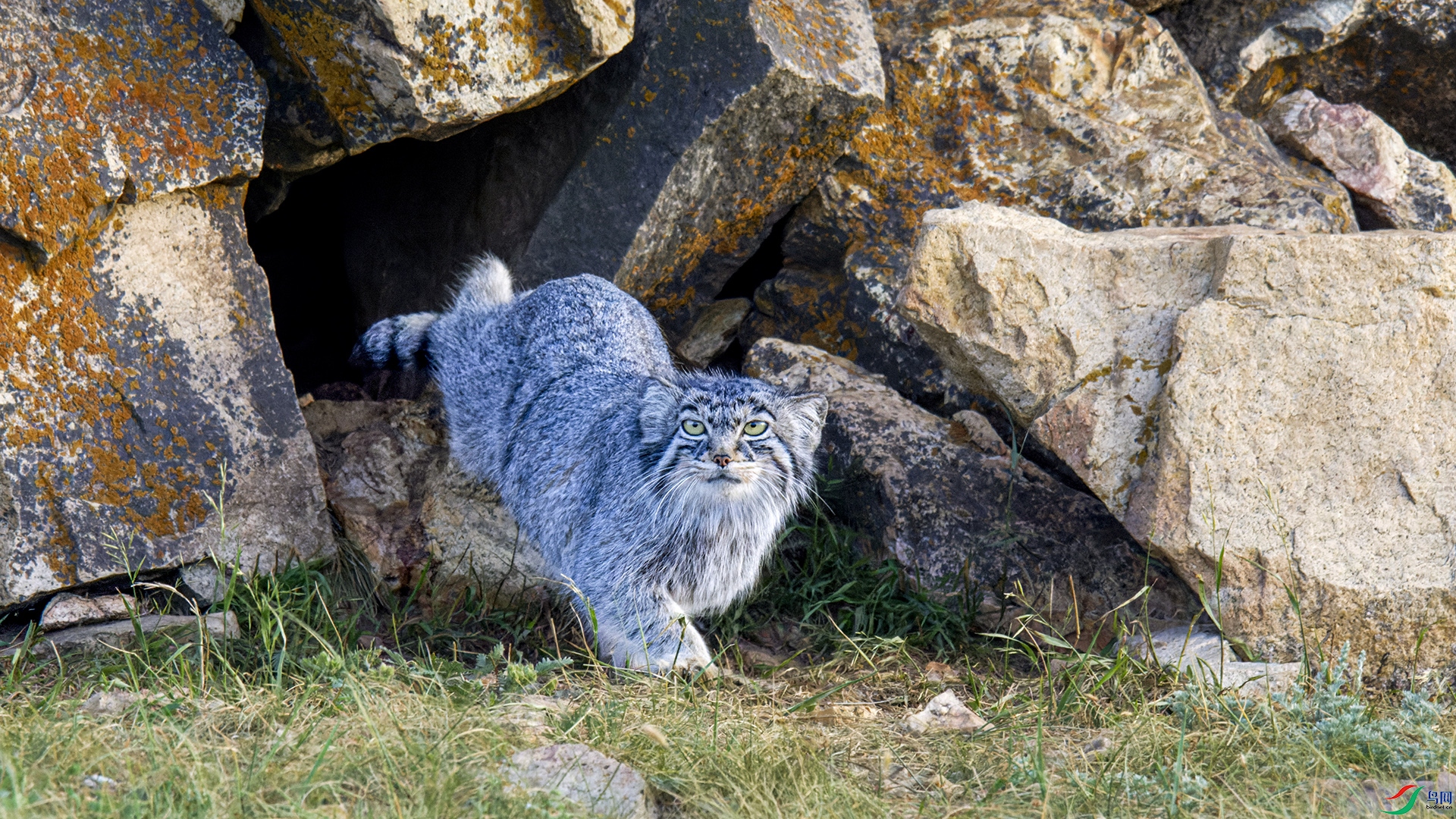 _DSC0527-NEF_DxO_DeepPRIME.jpg