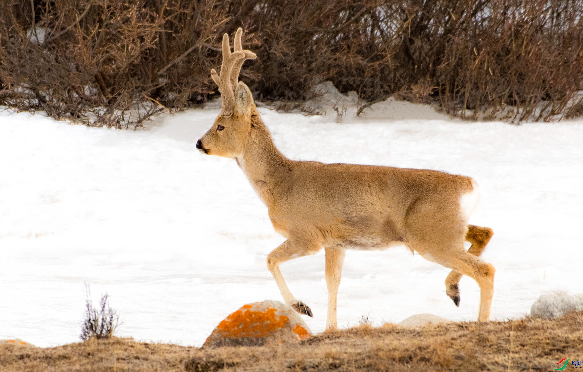 _DSC4616_����.jpg