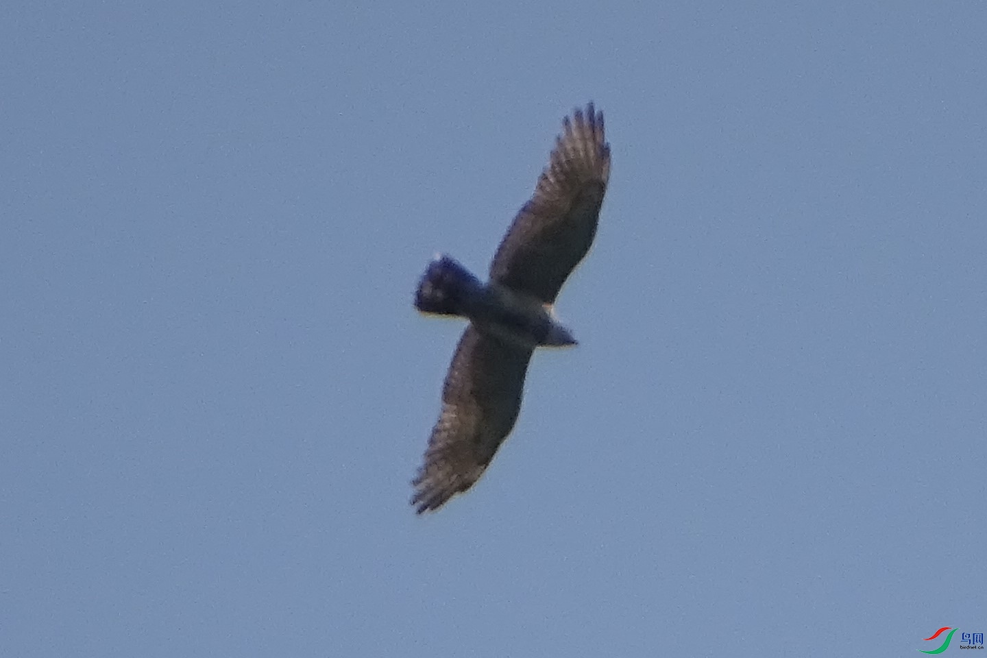 DSC03416.JPG