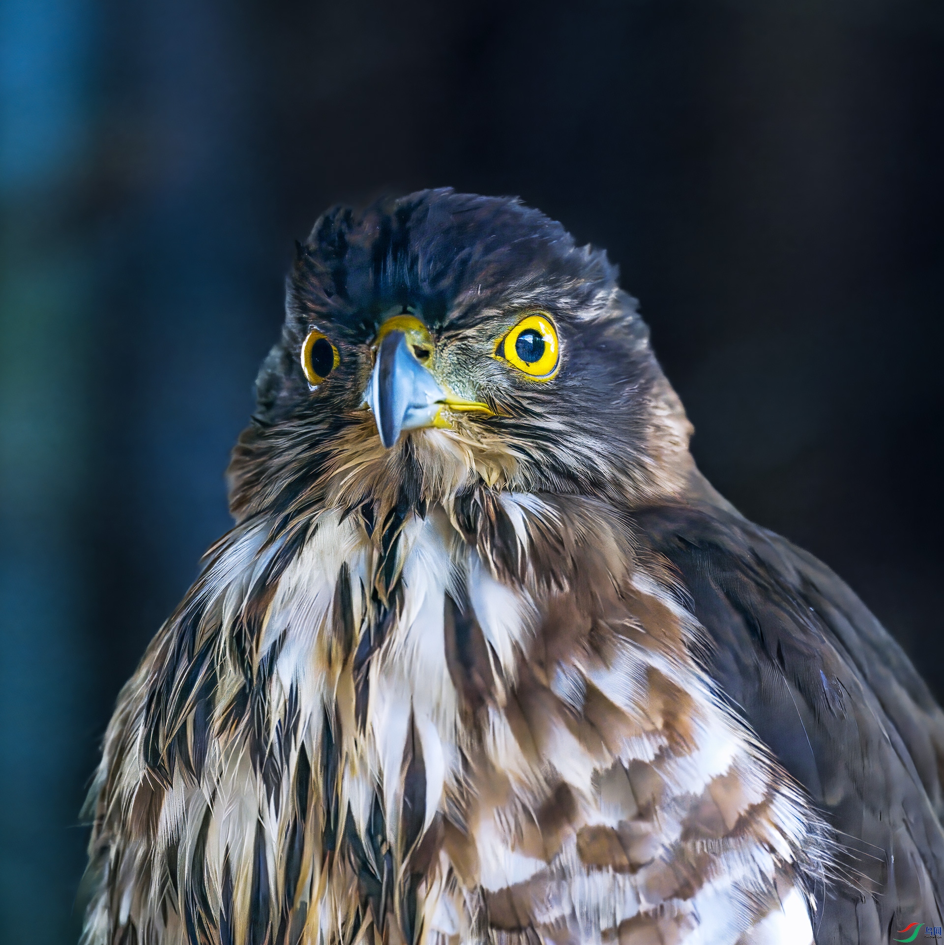 _D852481-topaz-denoiseraw.jpg