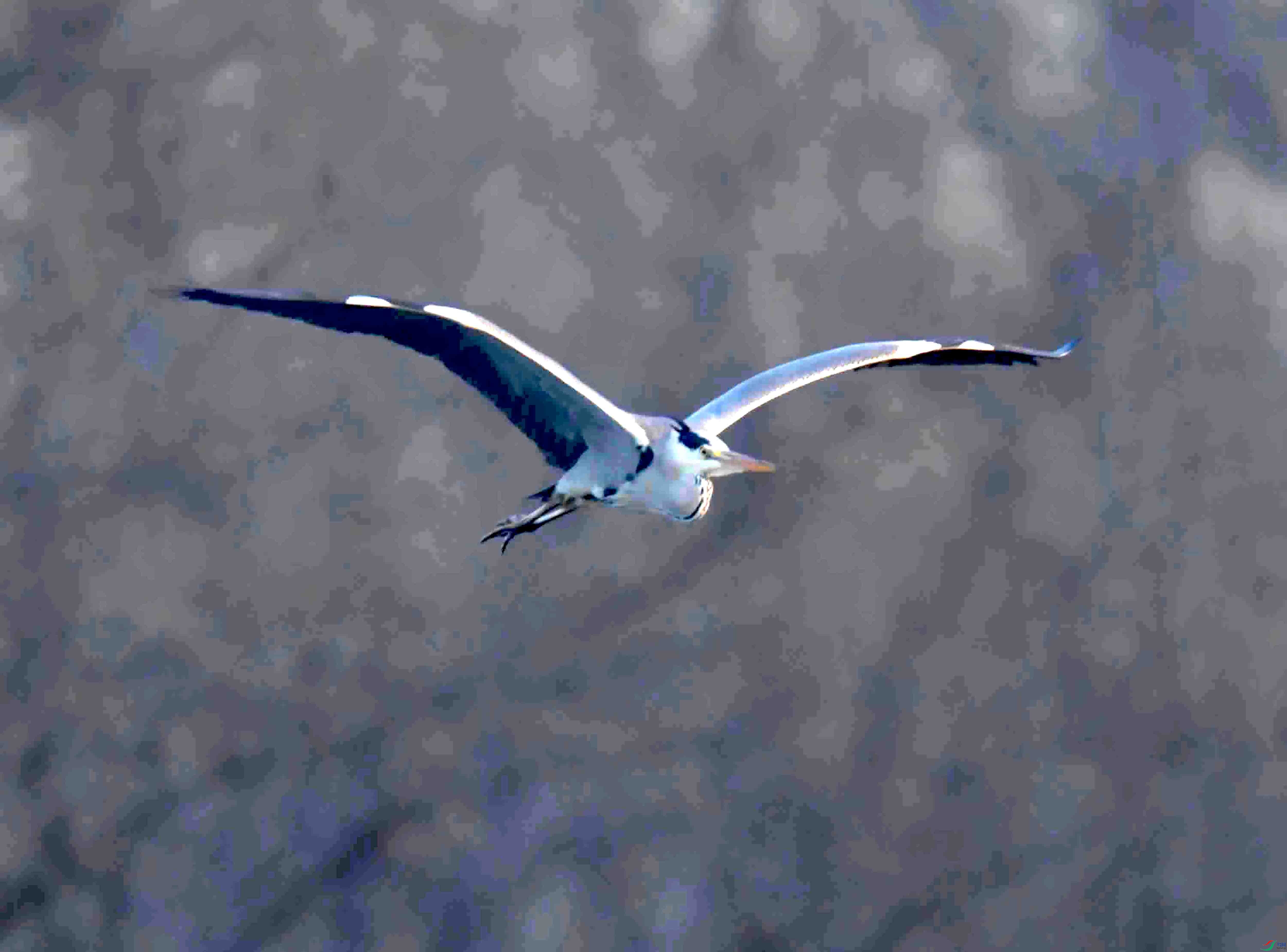 DSC_1506.JPG