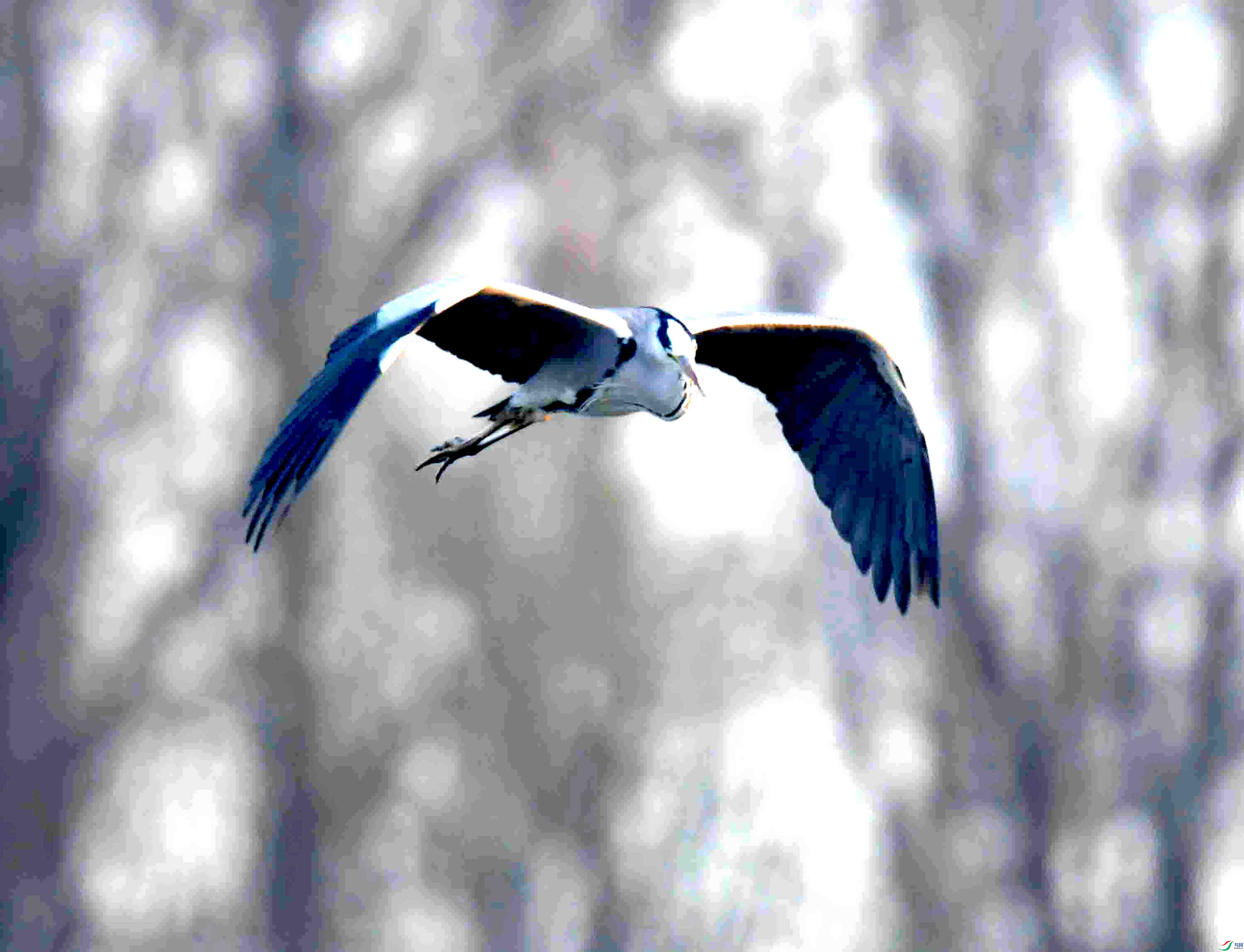 DSC_1509.JPG