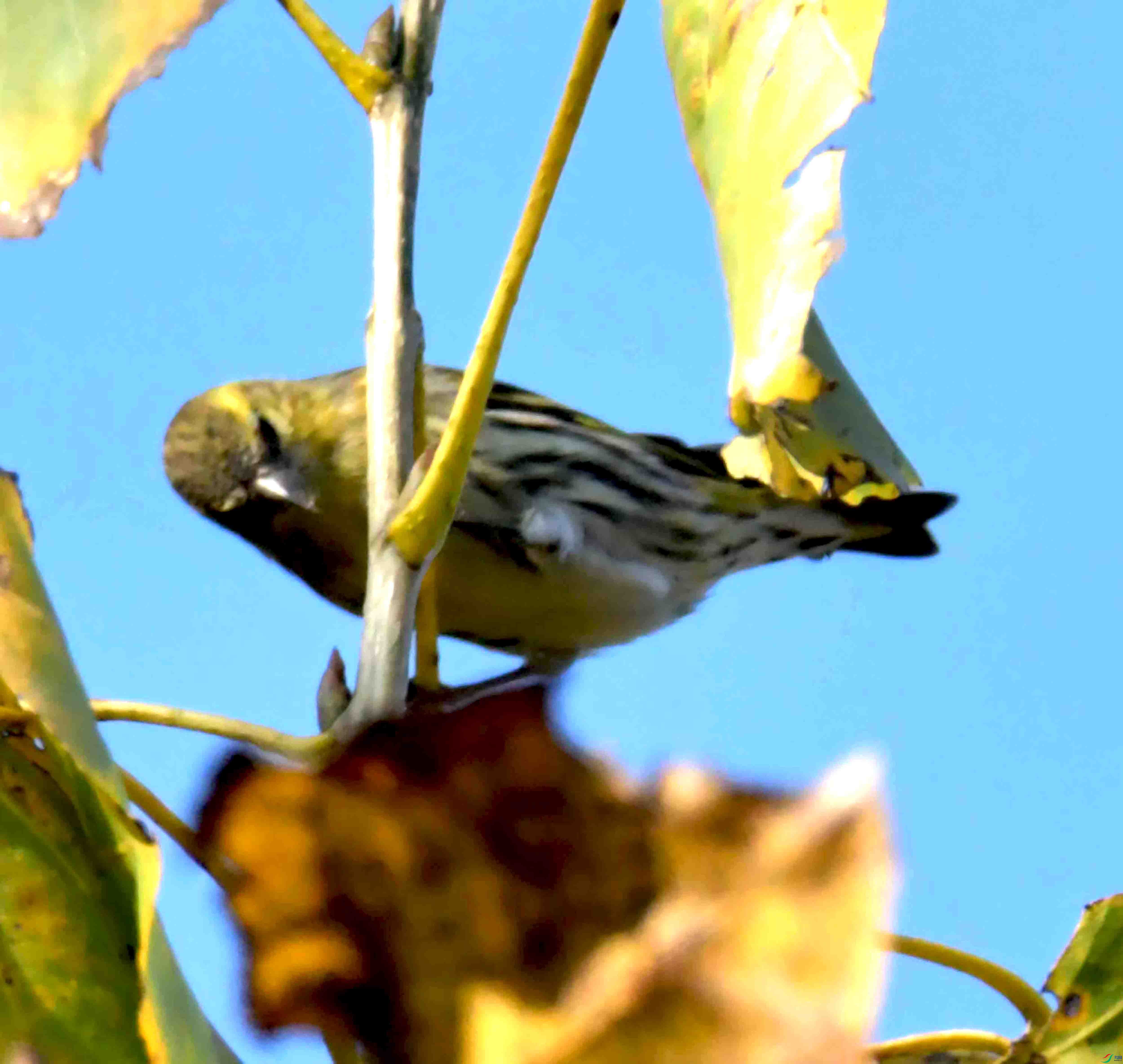 DSC_6030.JPG