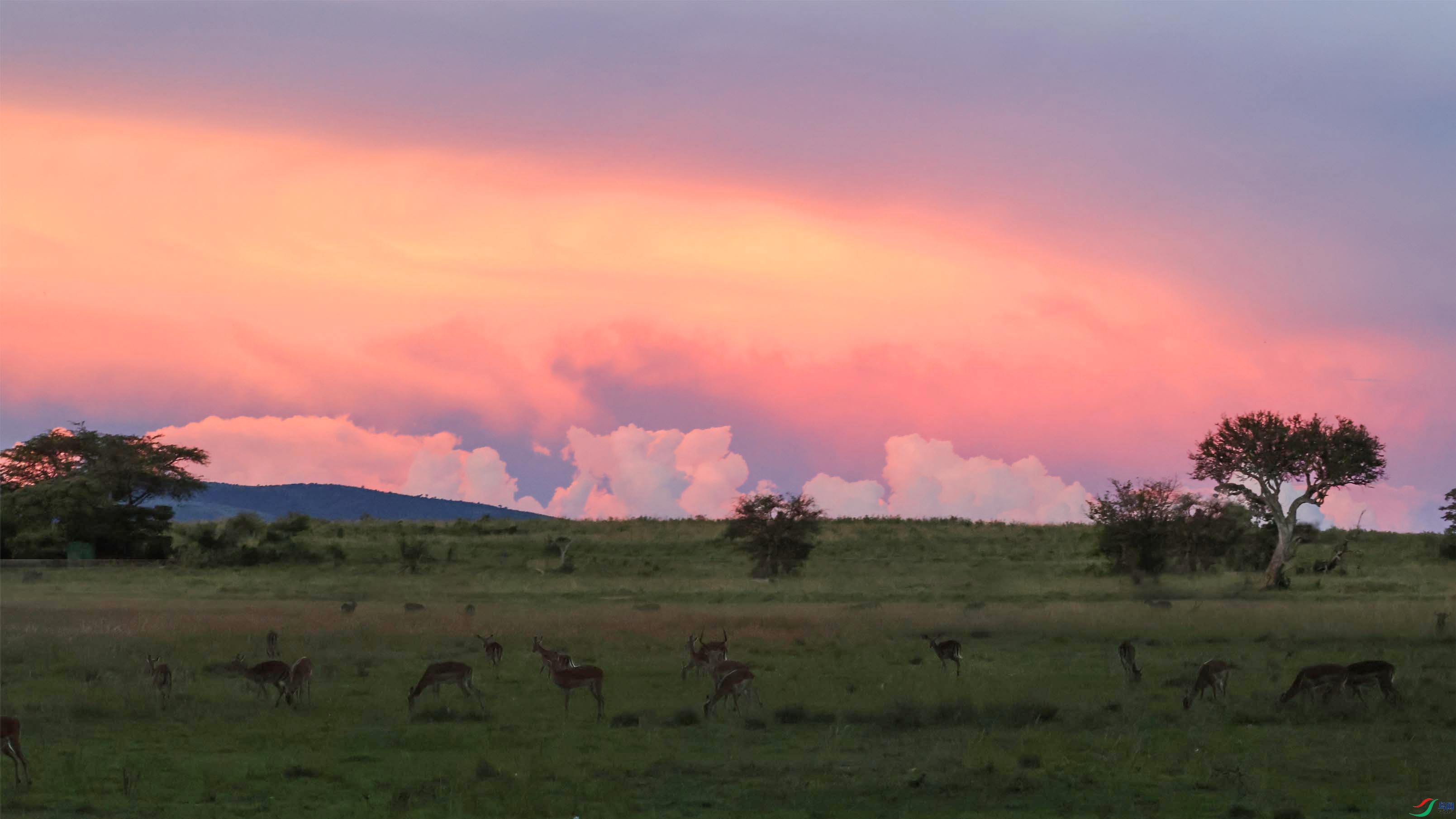 ��������պ���Ʈ�����̵Ĳݵص����ܡ� ����.jpg