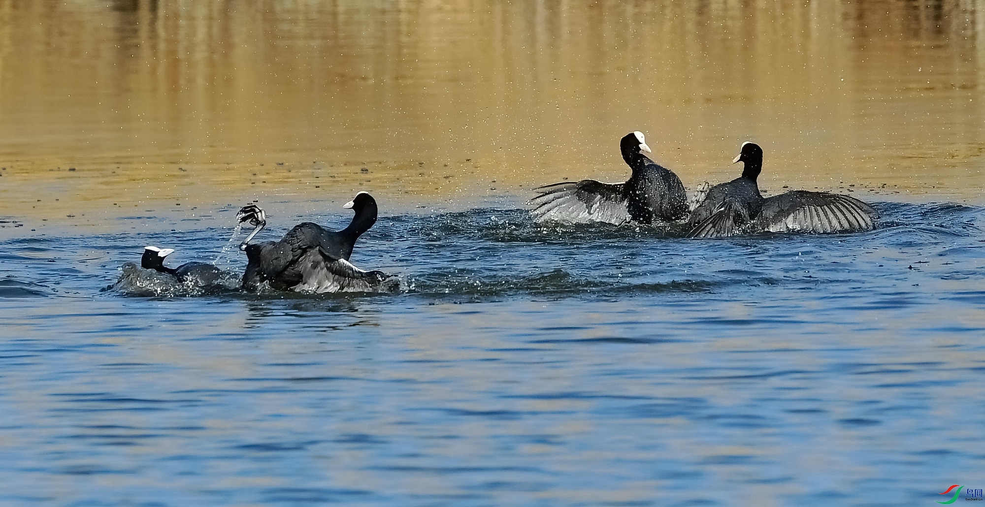 WZL_5348.jpg