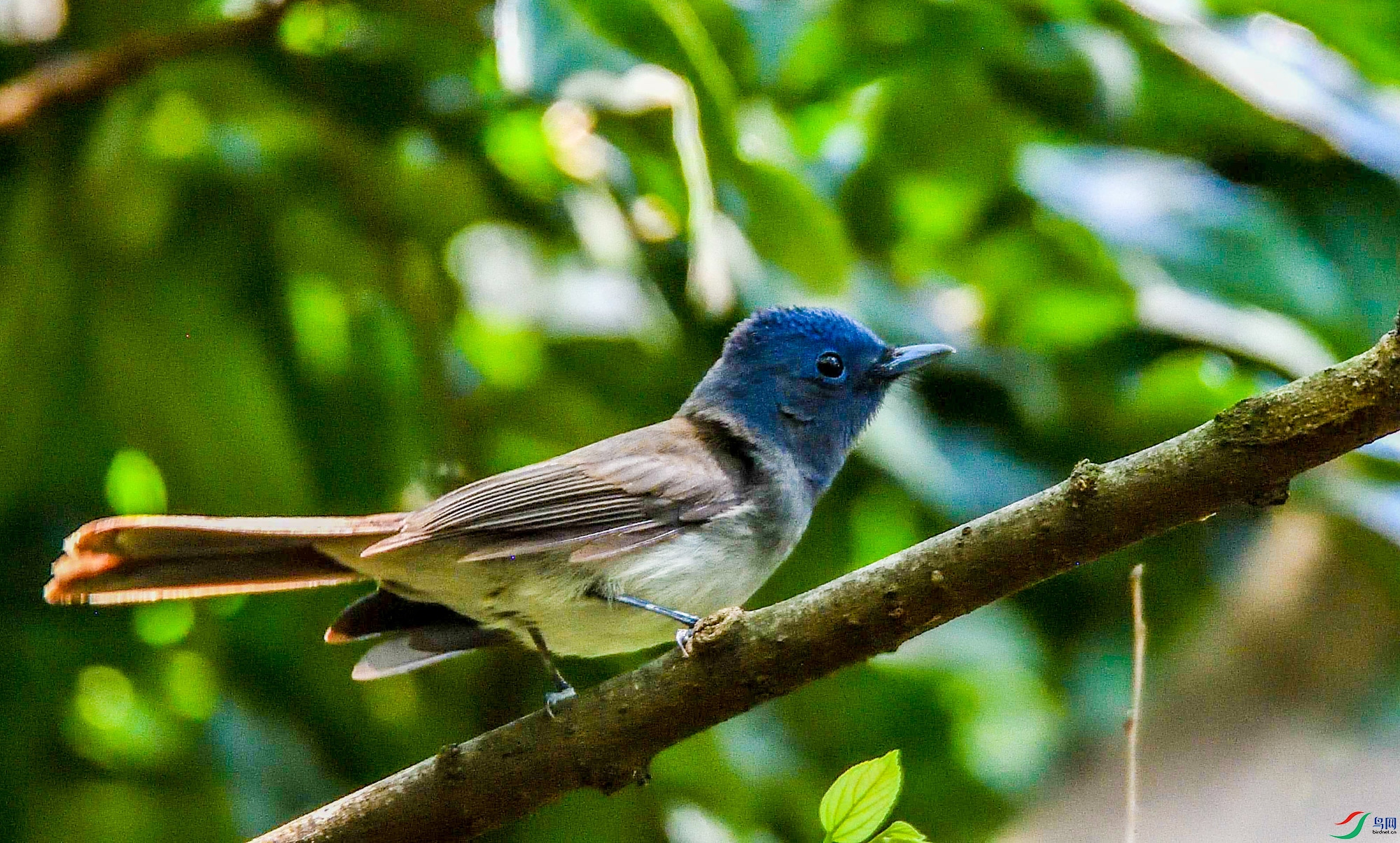 DSC_6840.jpg