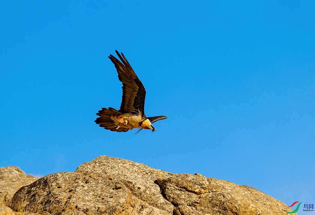 DSC_6967_DxO ���� 5.jpg