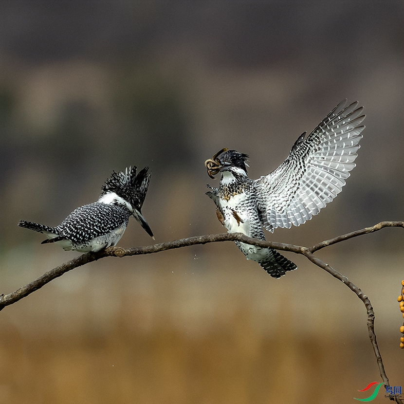 A46I2261 ����.psd2 ����.jpg2.jpg