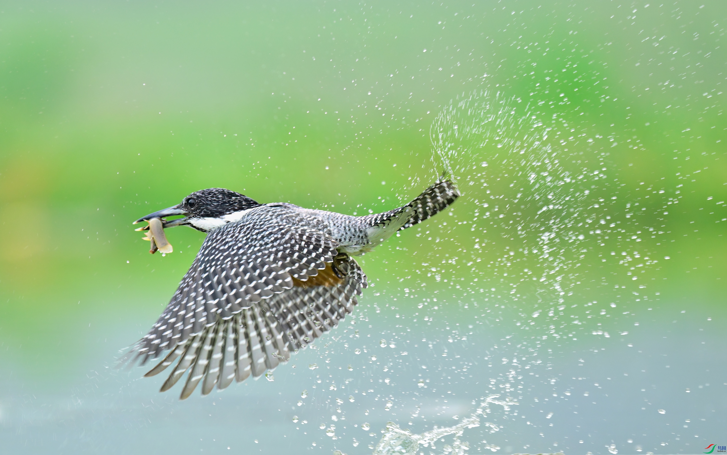 _DSC7383x.jpg