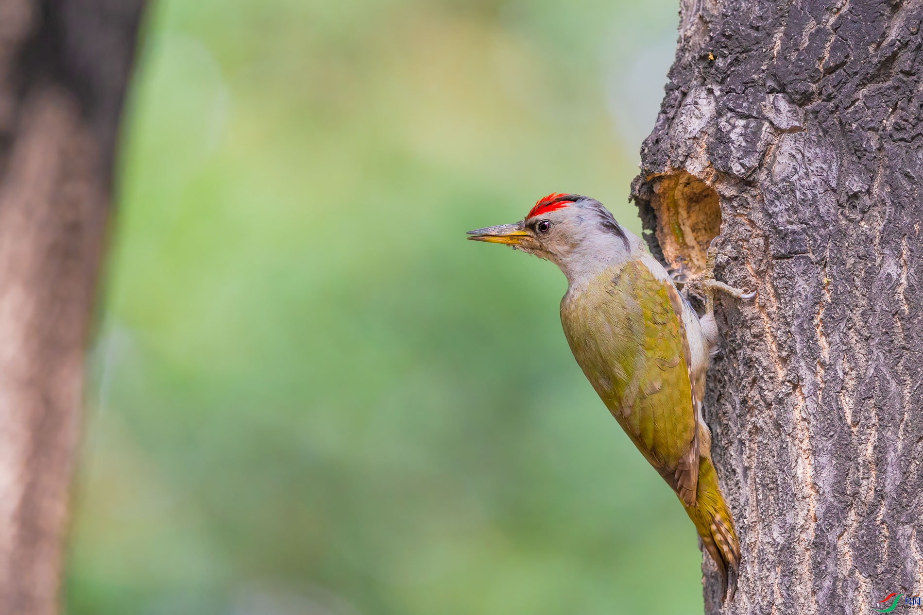 AQ4P0221-1.jpg