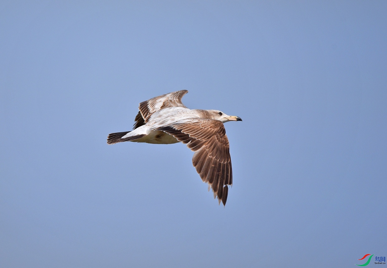 DSC_2535.jpg