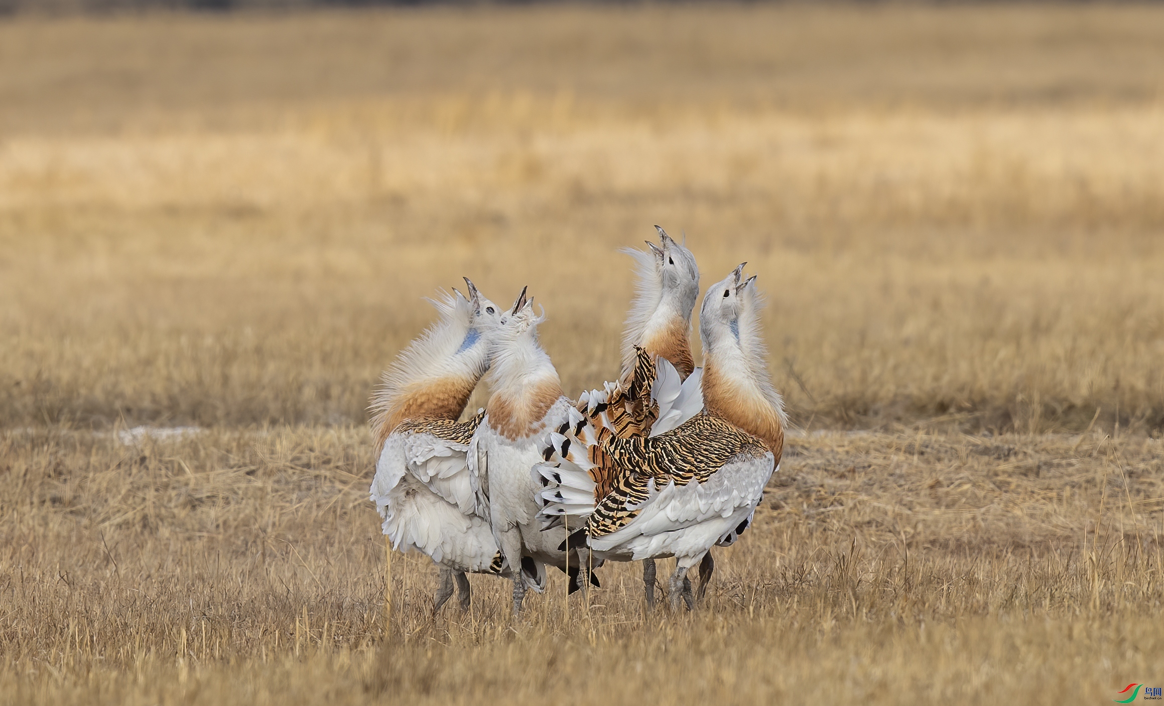 AC3I6815 ����.jpg