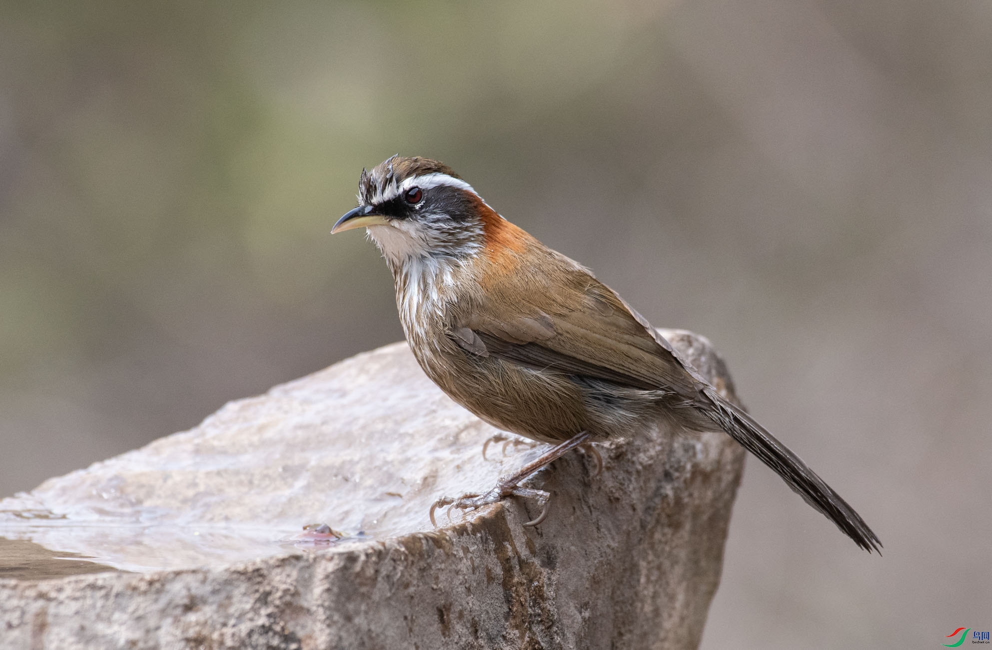 DSC_5144.jpg