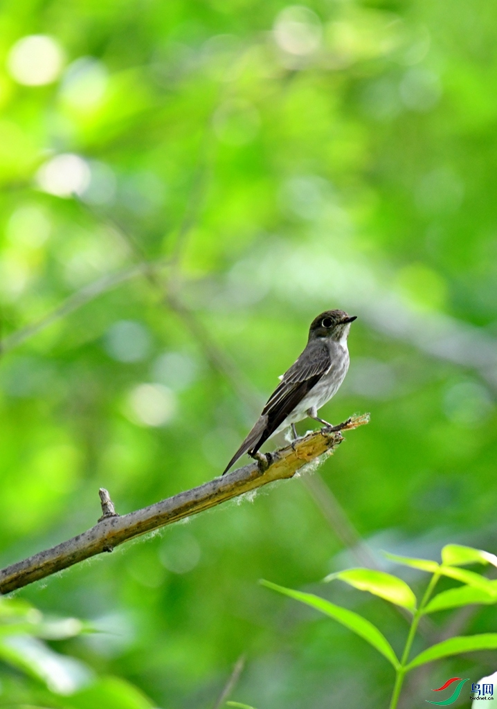 DSC_0343.JPG