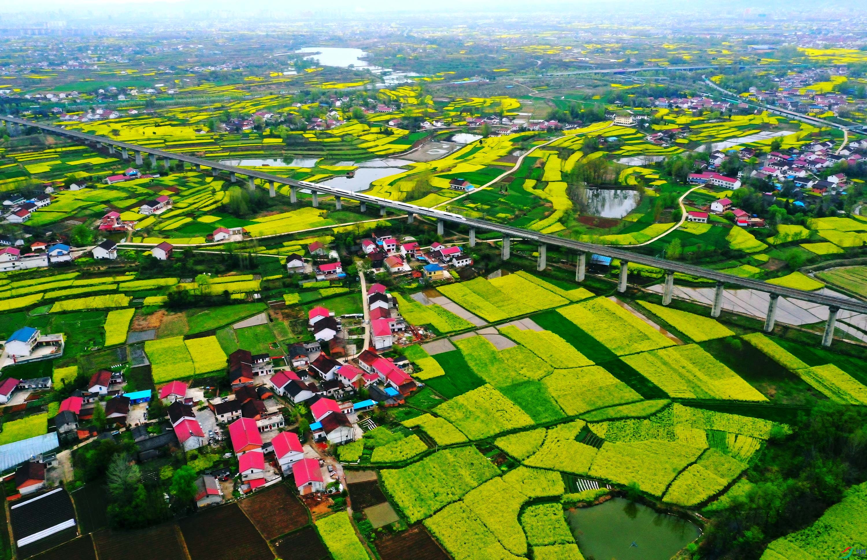 DJI_0530_����1.jpg