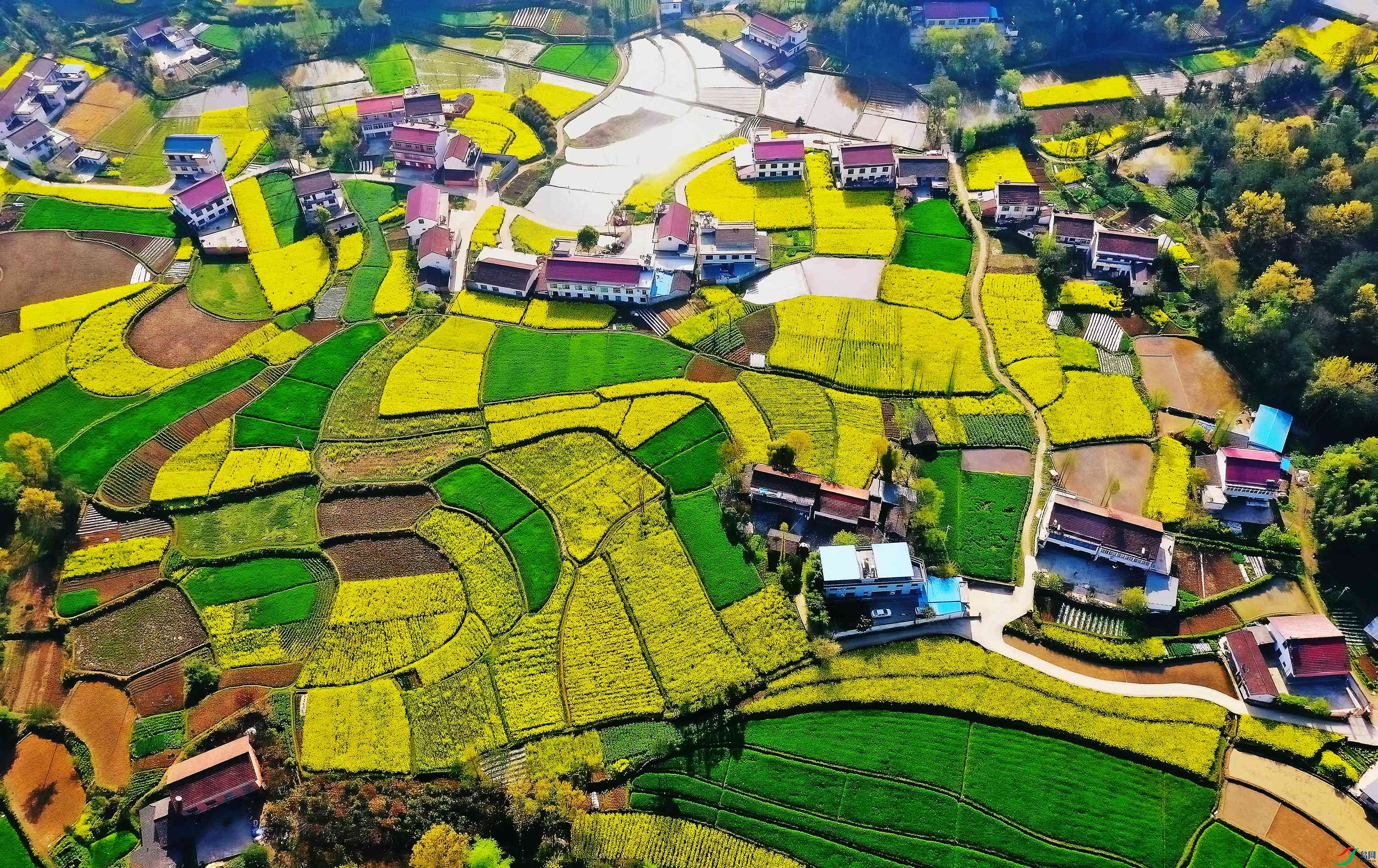 DJI_0552_����1.jpg