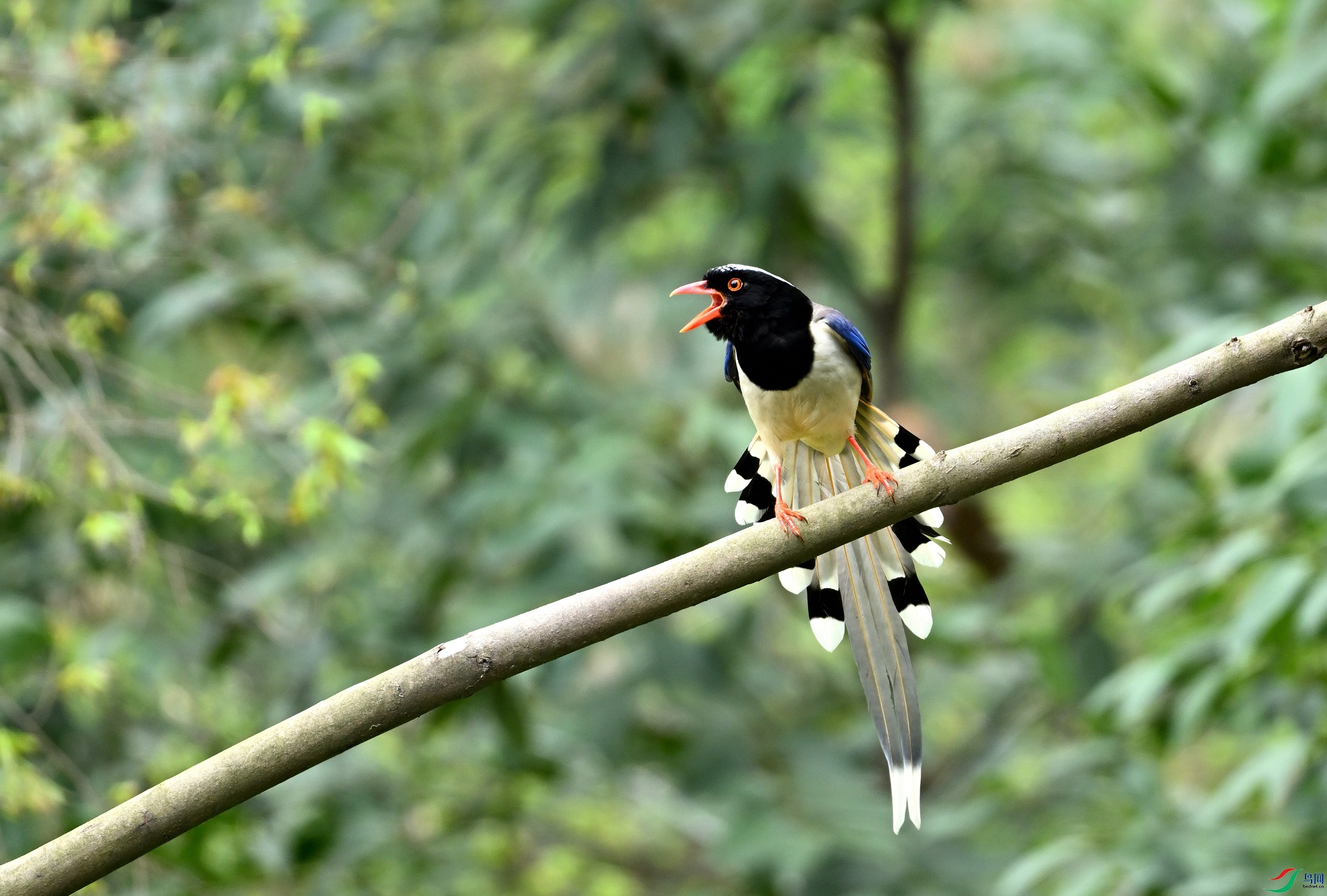 DSC_5354.JPG