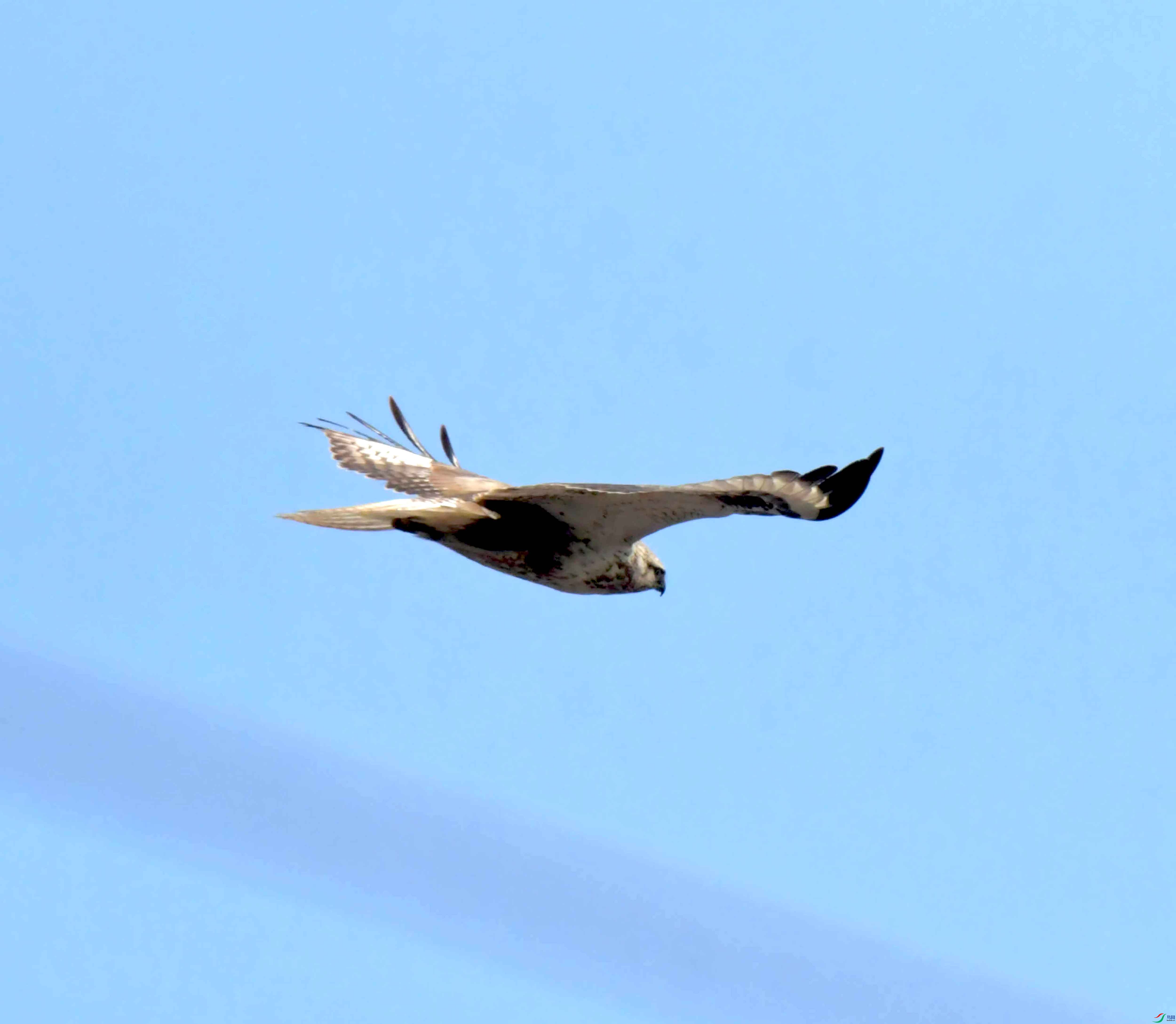 DSC_0549.JPG