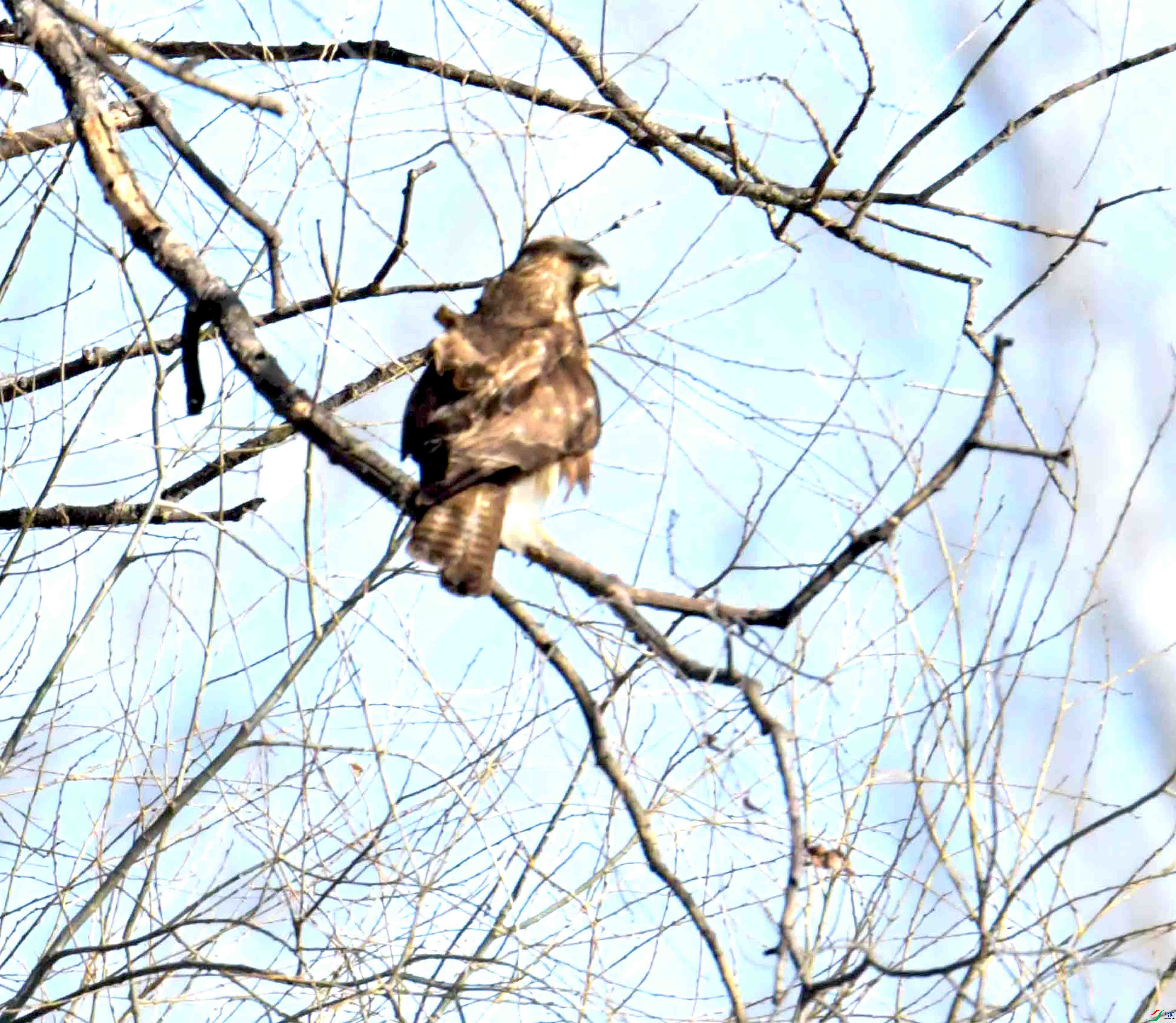 DSC_1139.JPG