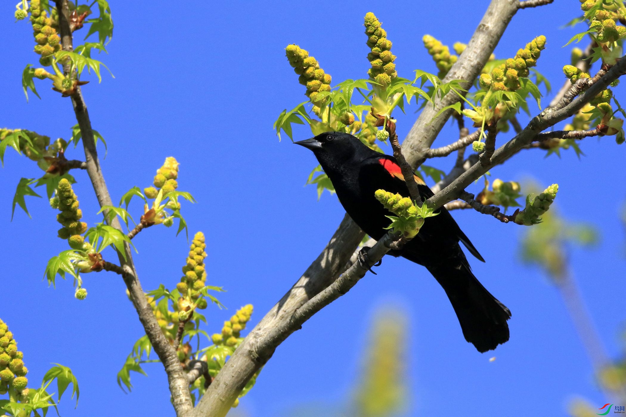 ����� 01.jpg