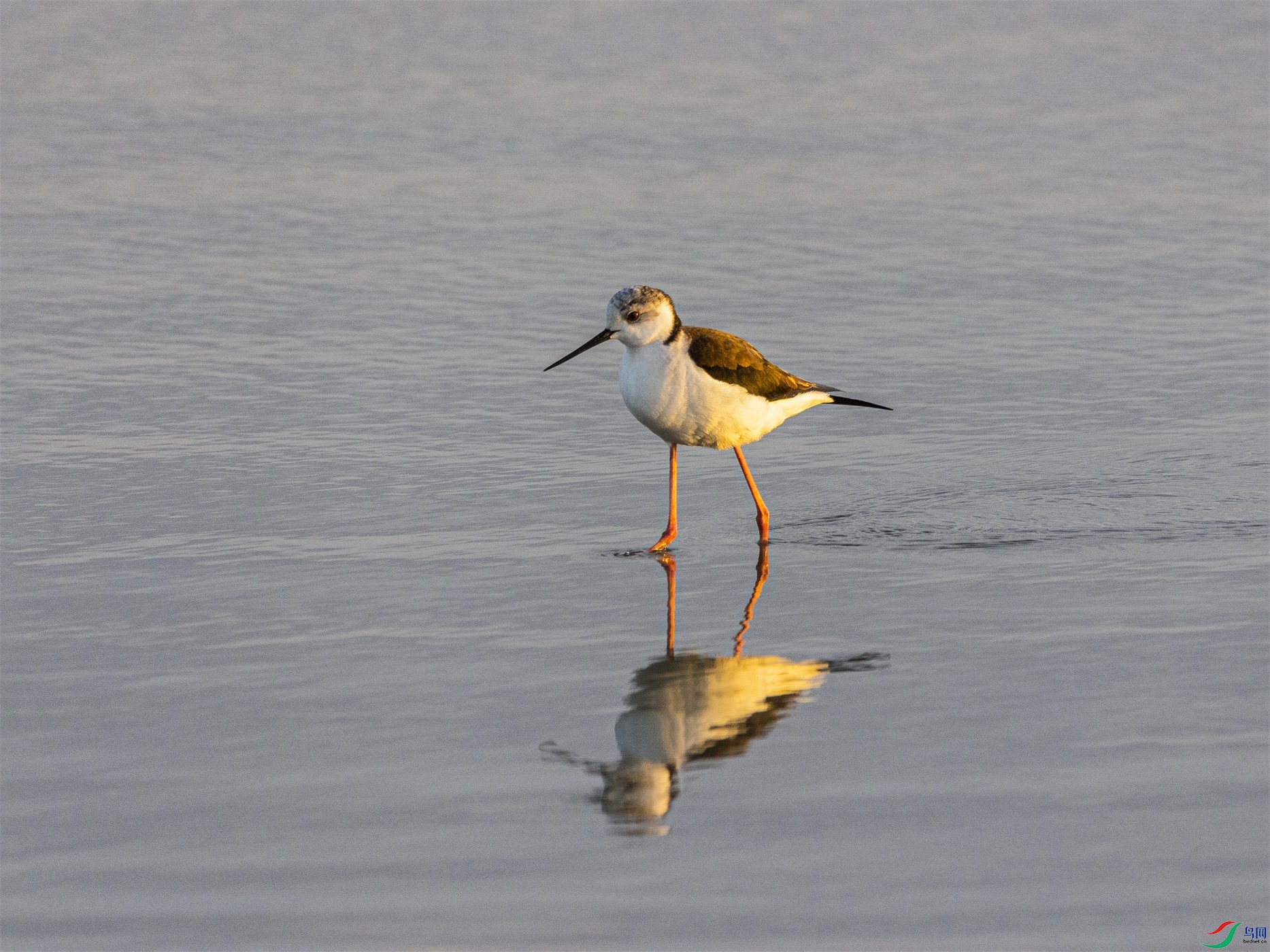 1K3A6244 ����1.jpg