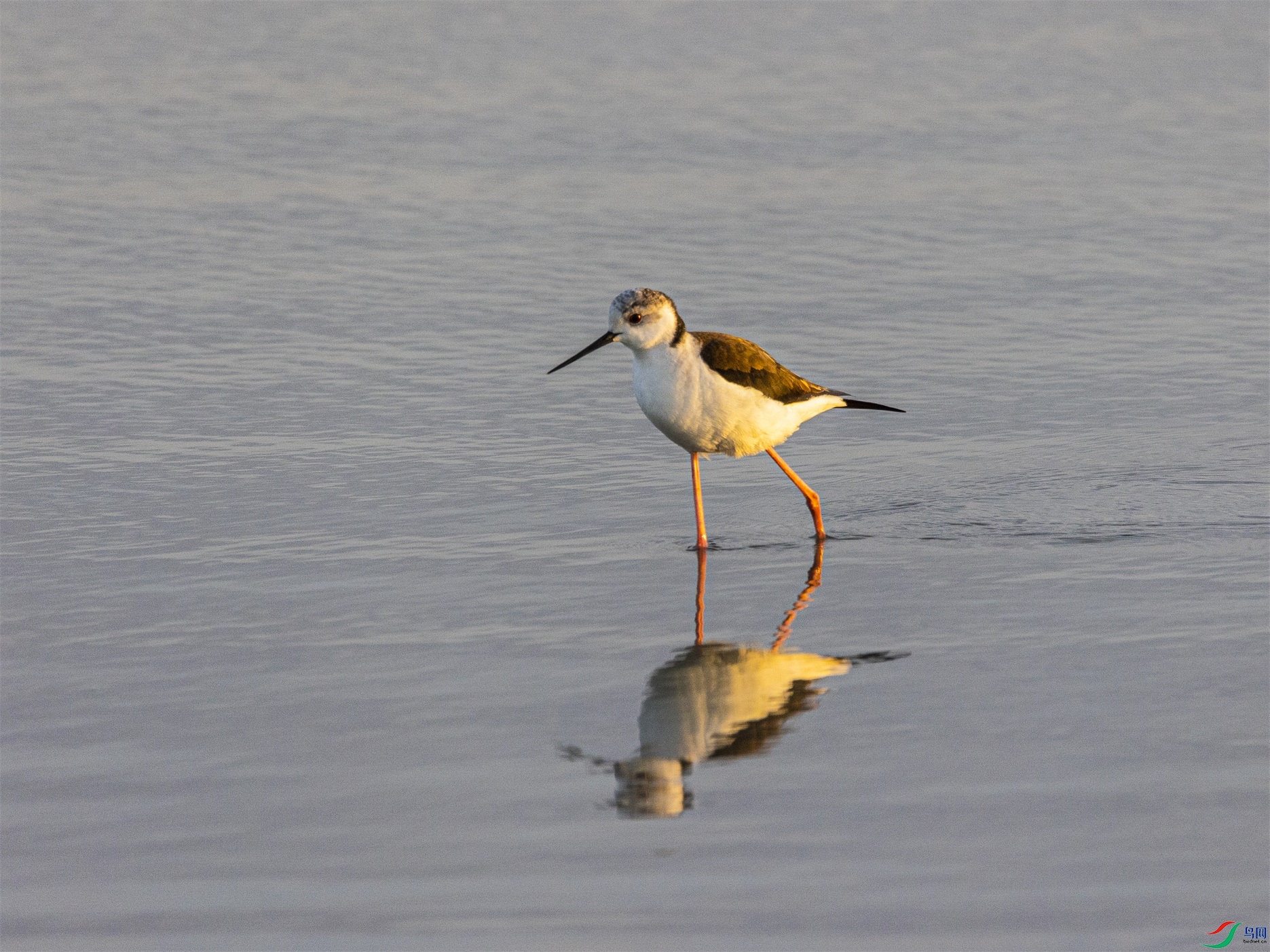 1K3A6246 ����1.jpg