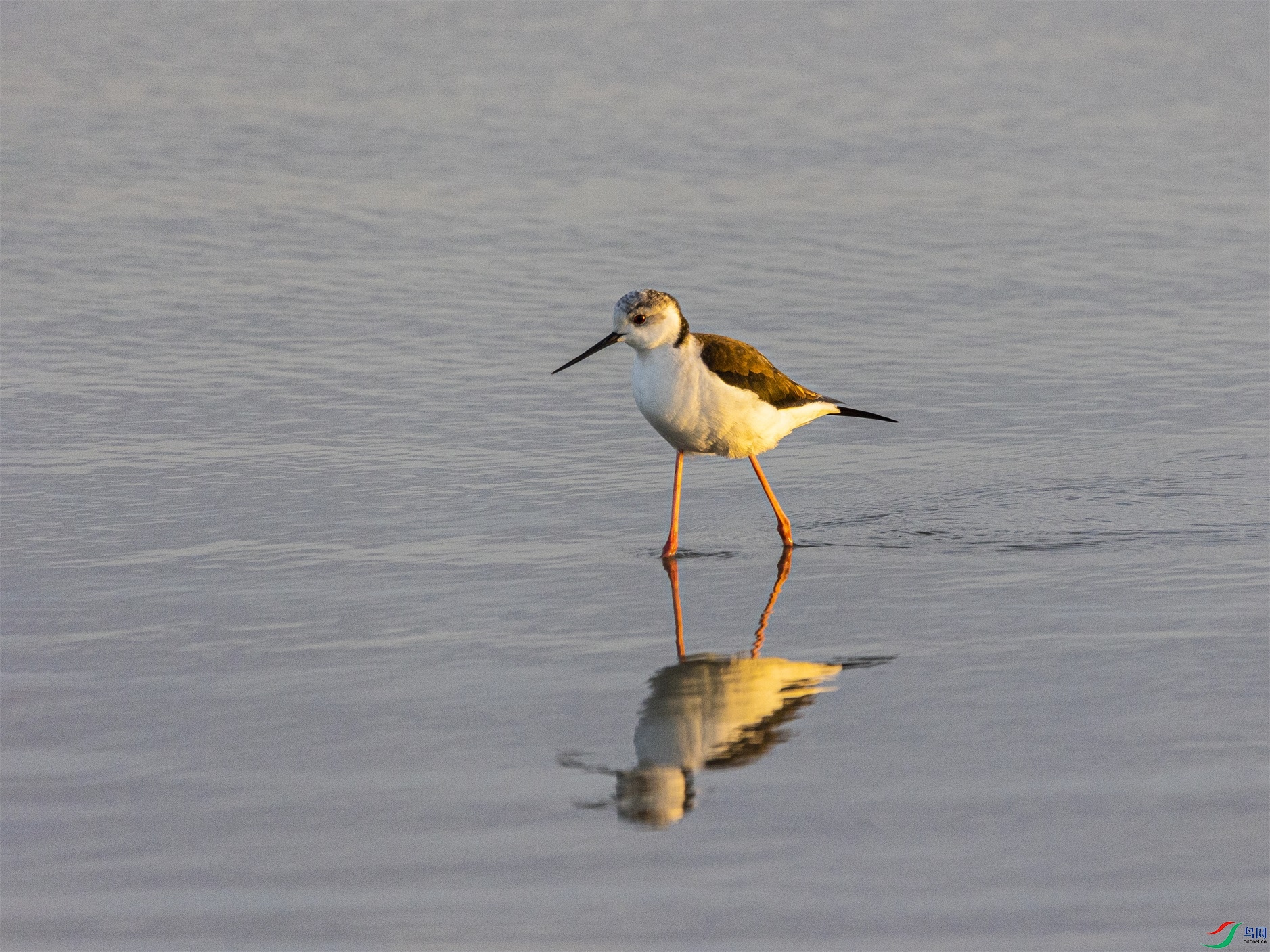 1K3A6245 ����1.jpg