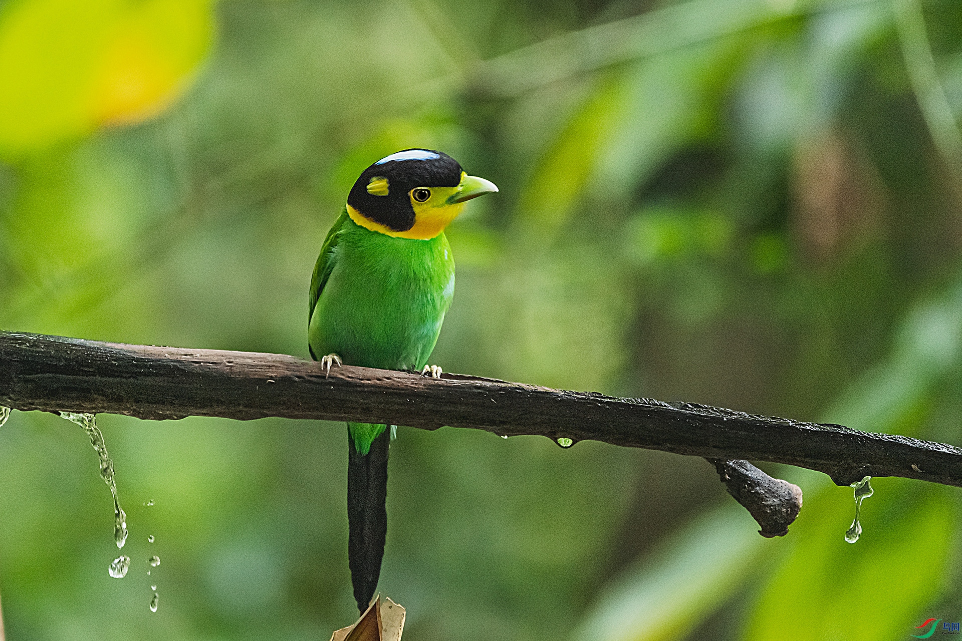 _DSC3316n.jpg