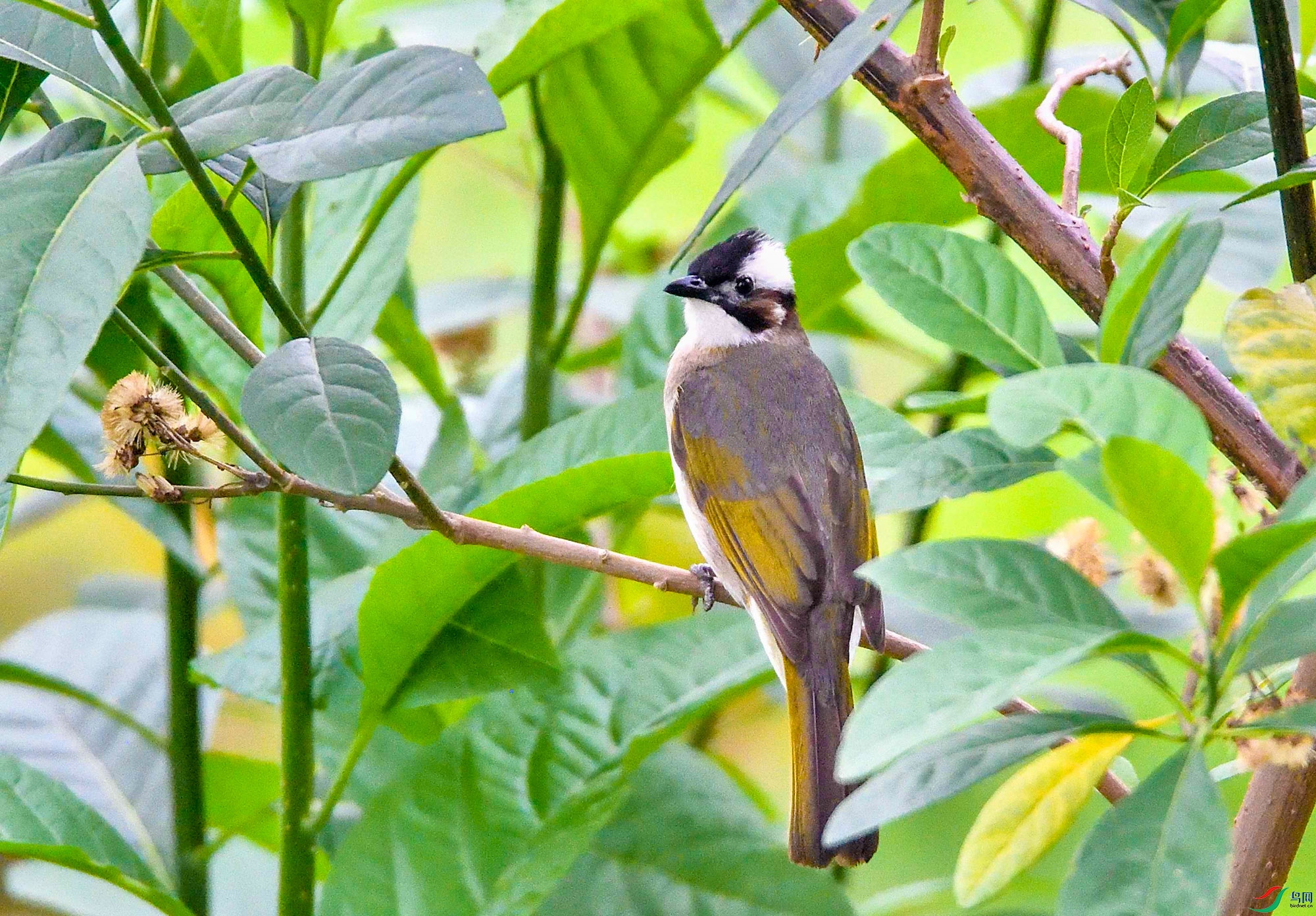 DSC_7347.jpg