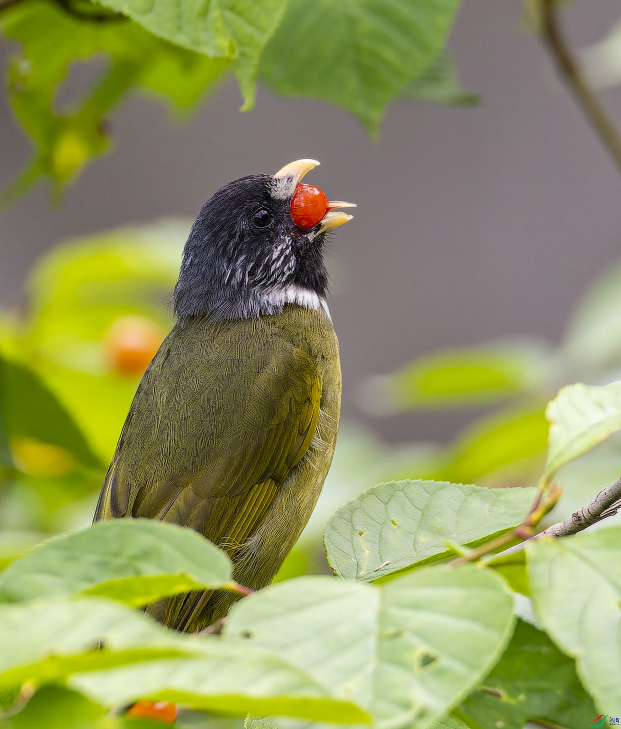 P4183175-ORF_DxO_DeepPRIMEXD ����.jpg