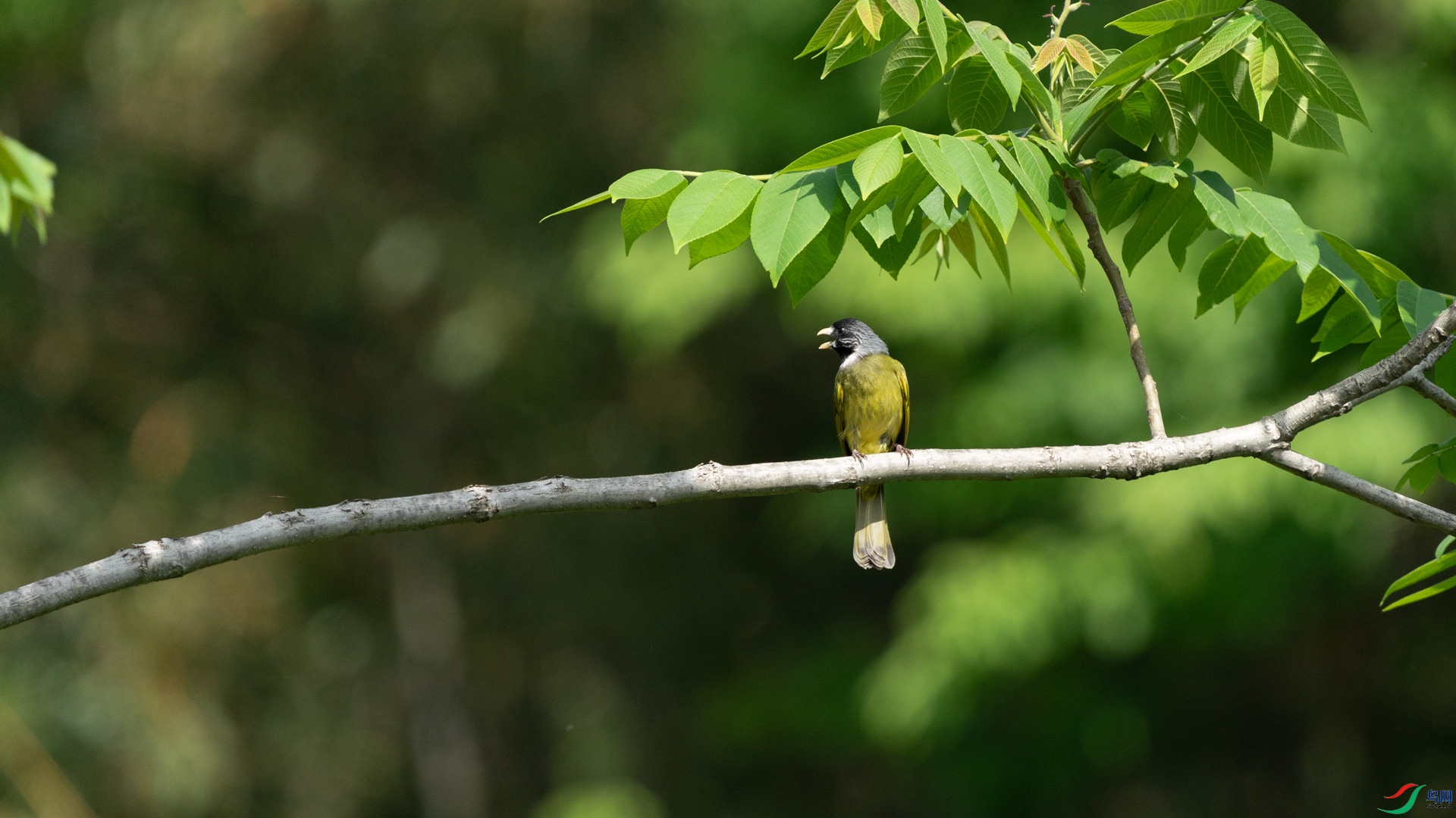 _DSC6183-1.jpg
