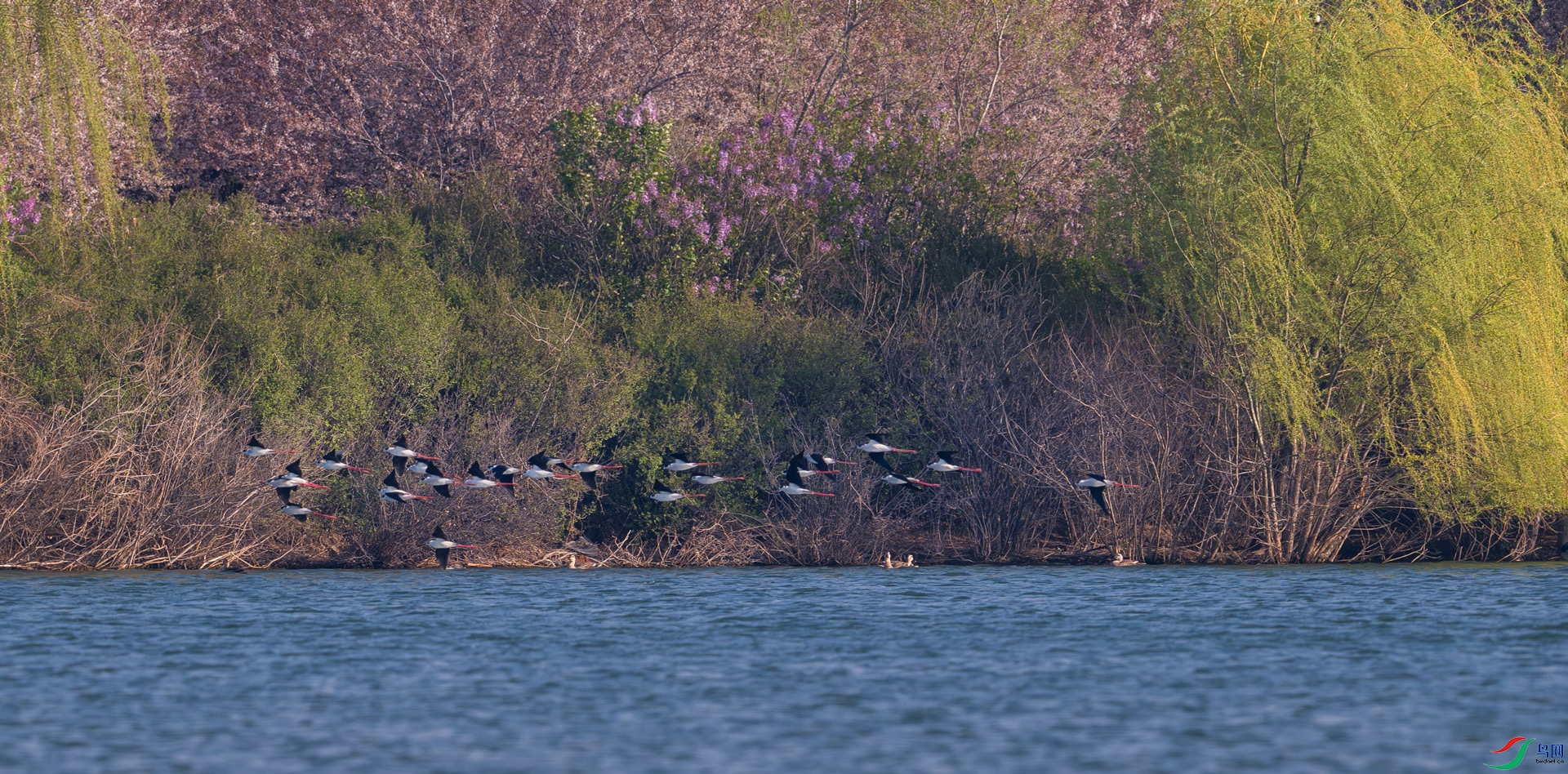 DSC_0791==1w.jpg