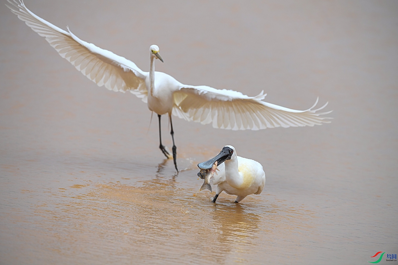 DSC_1008-2.jpg