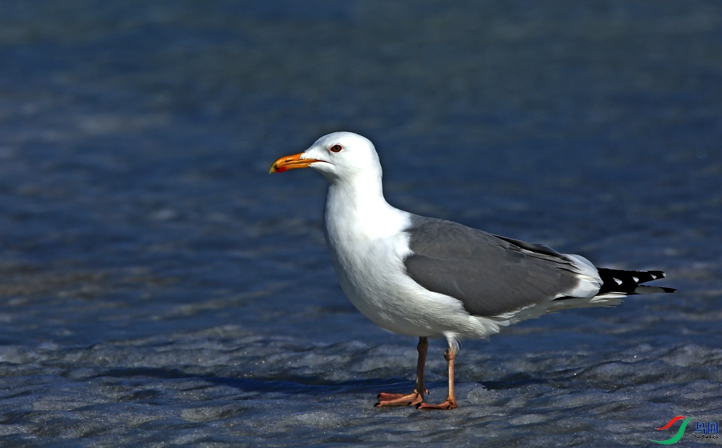 8E8A7918ab.jpg