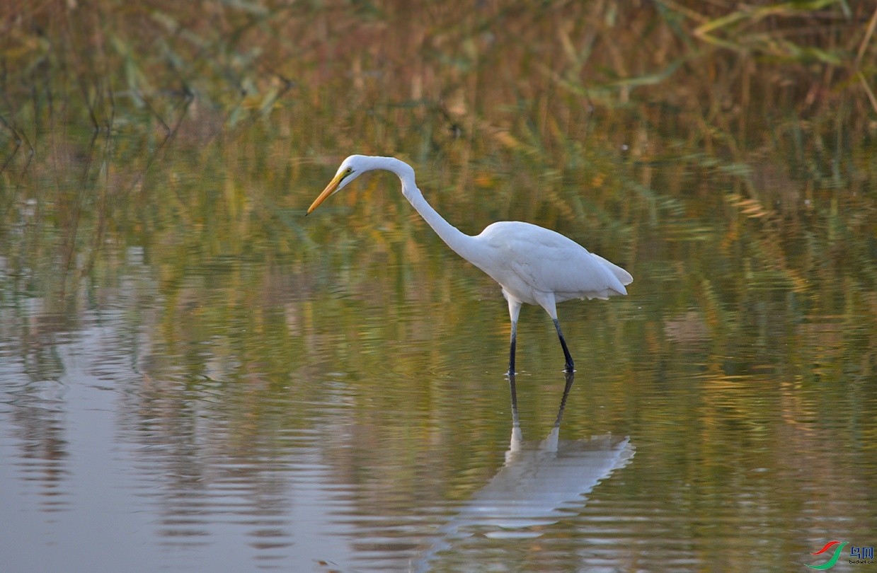 DSC_0755.jpg