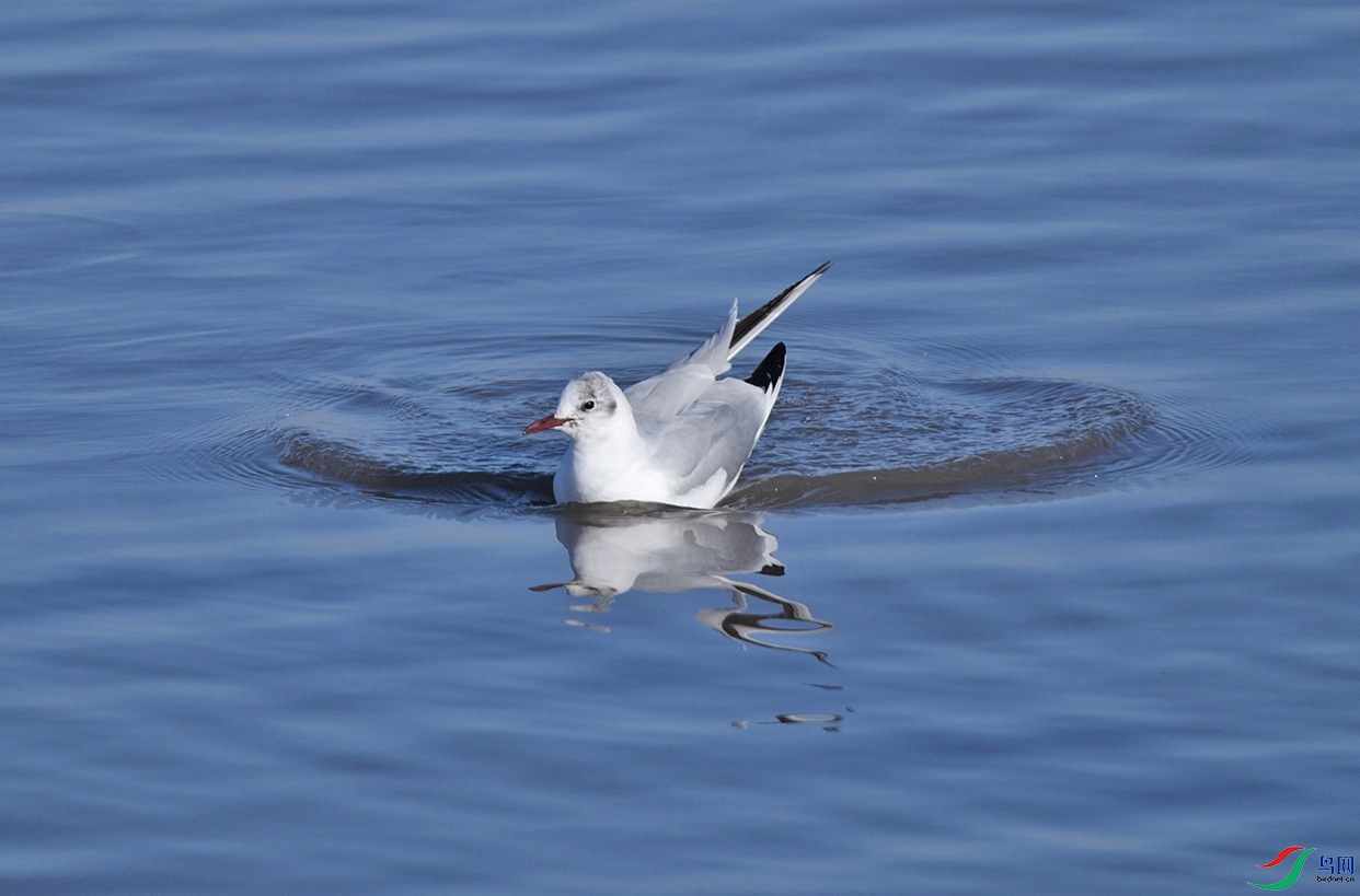 DSC_9427.jpg