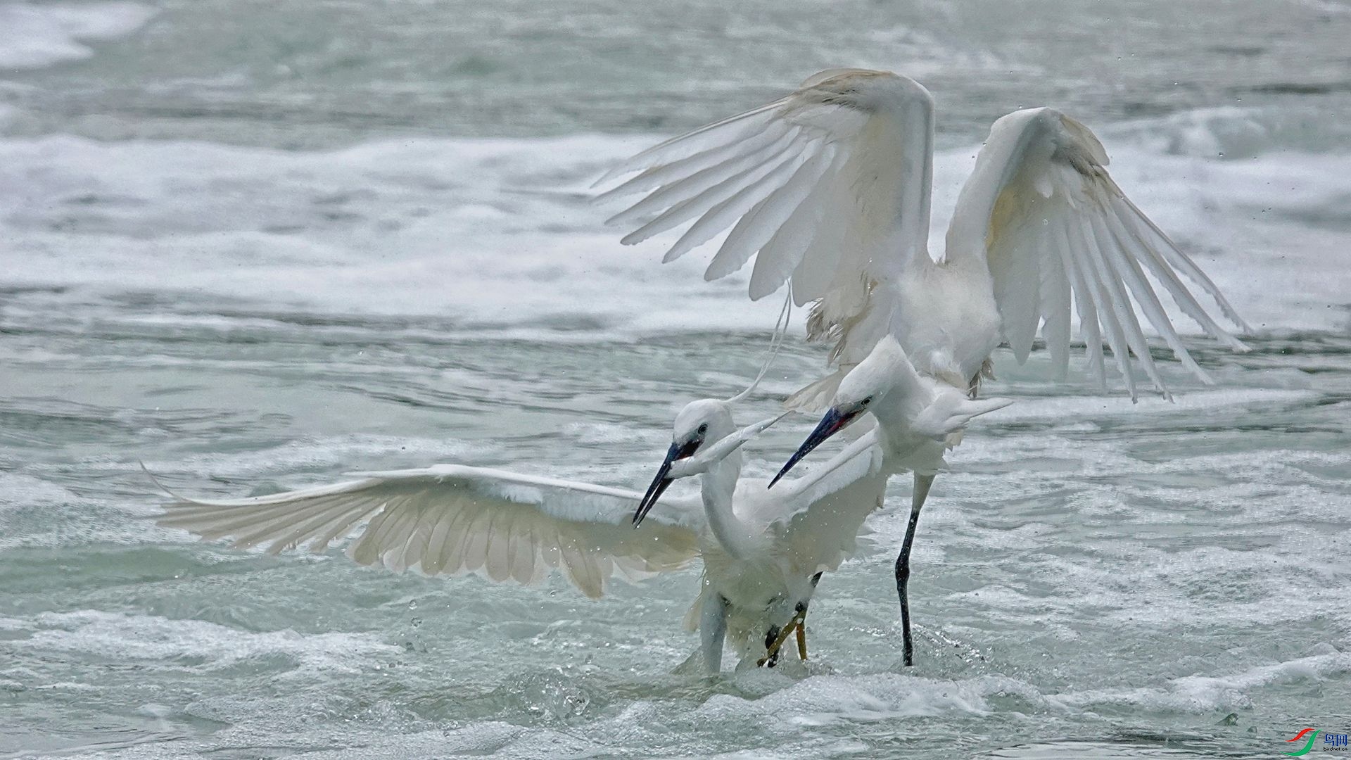 ����������