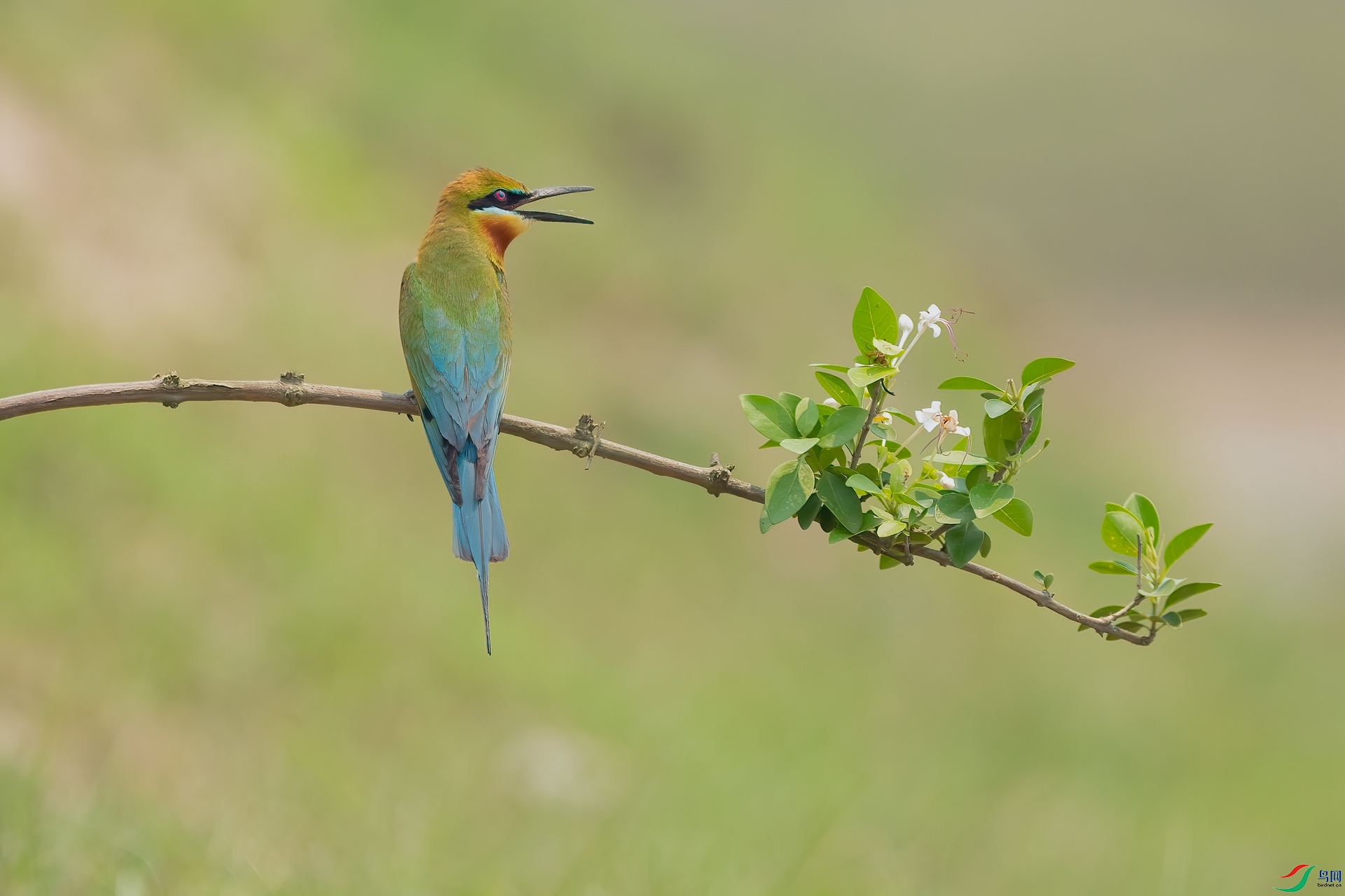 B86I1364 _����.jpg