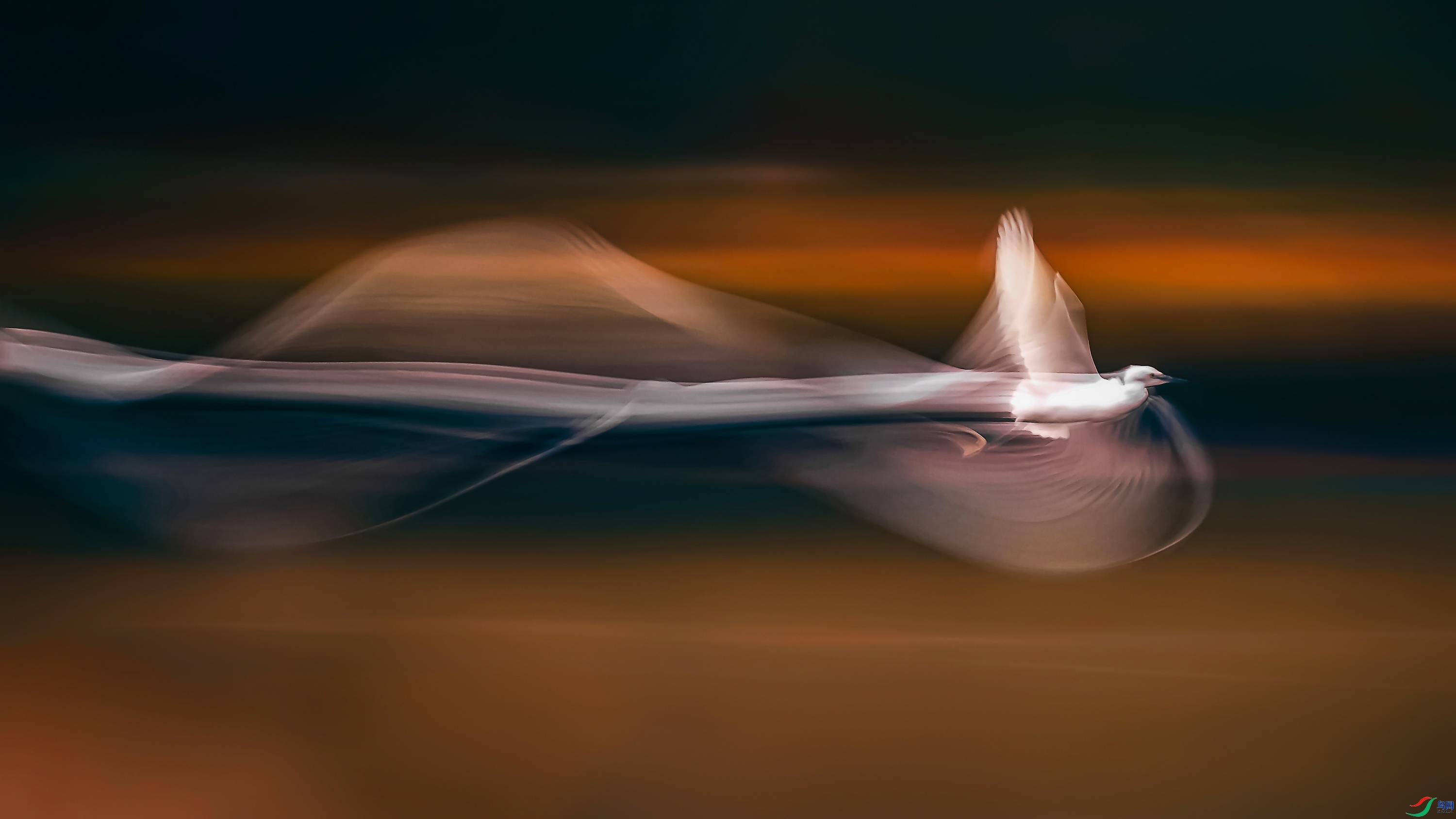 ����  Hsia  ����.jpg