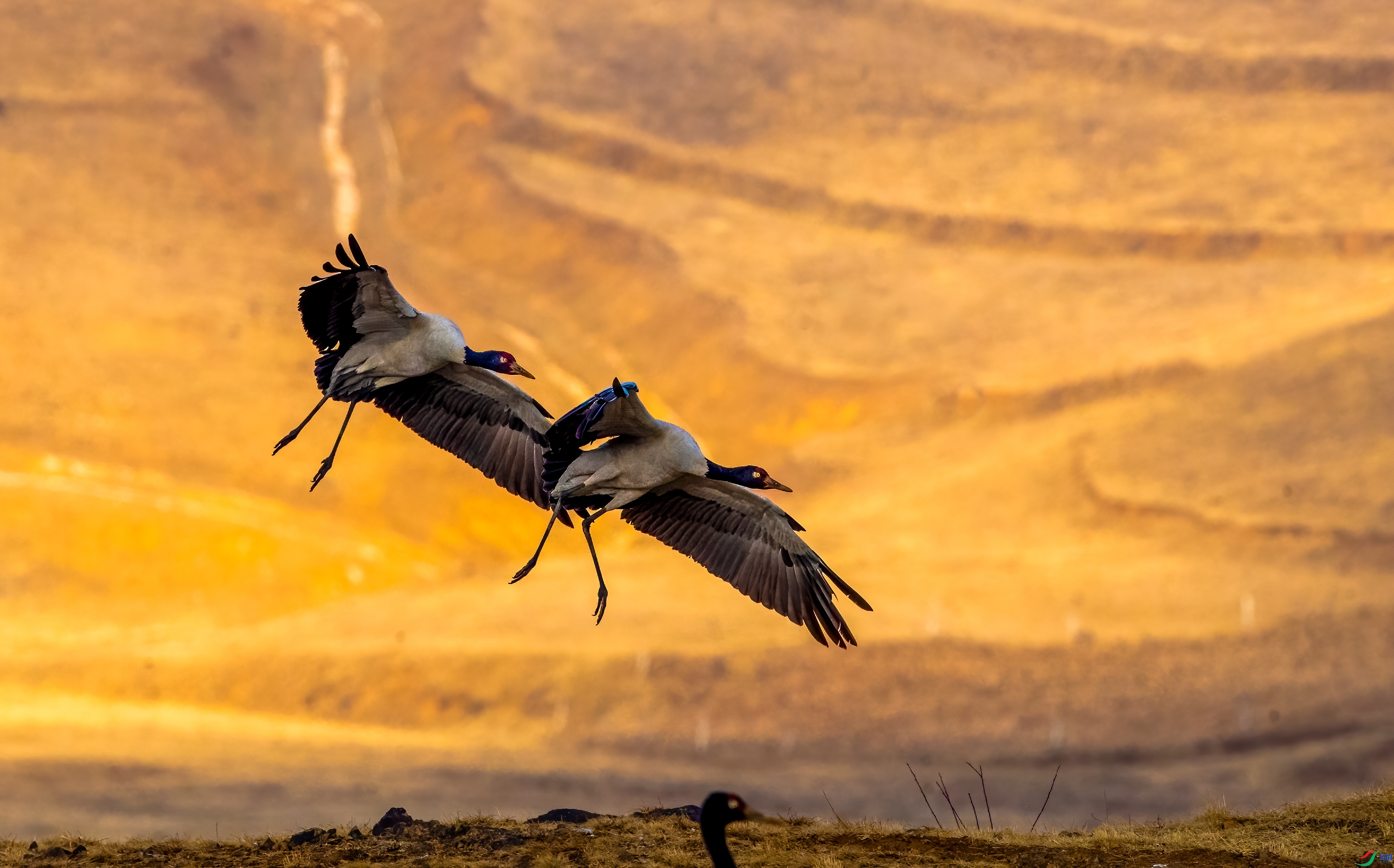 ����  ����   Ϧ������.jpg