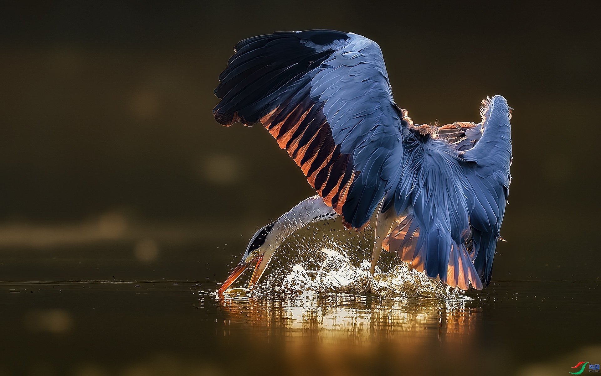 ����  ����Ӱ   �����в��ز���.jpg