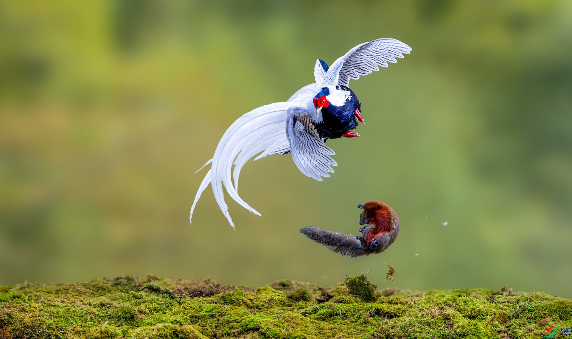 ��Χ   ��������  ��������.jpg