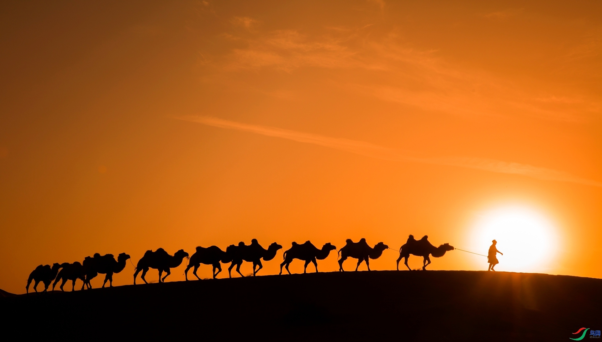 ��Χ   ����  ׷��.jpg